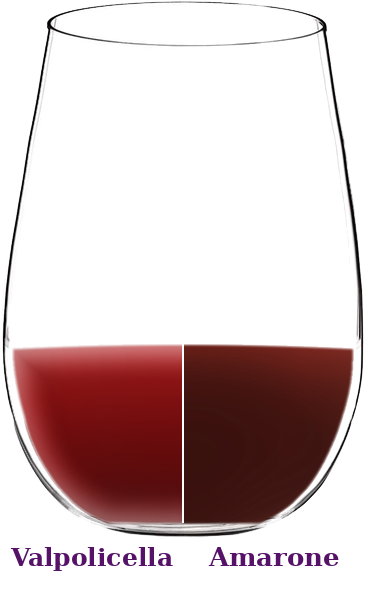 Corvina wine color in glass, Valpolicella and Amarone side by side