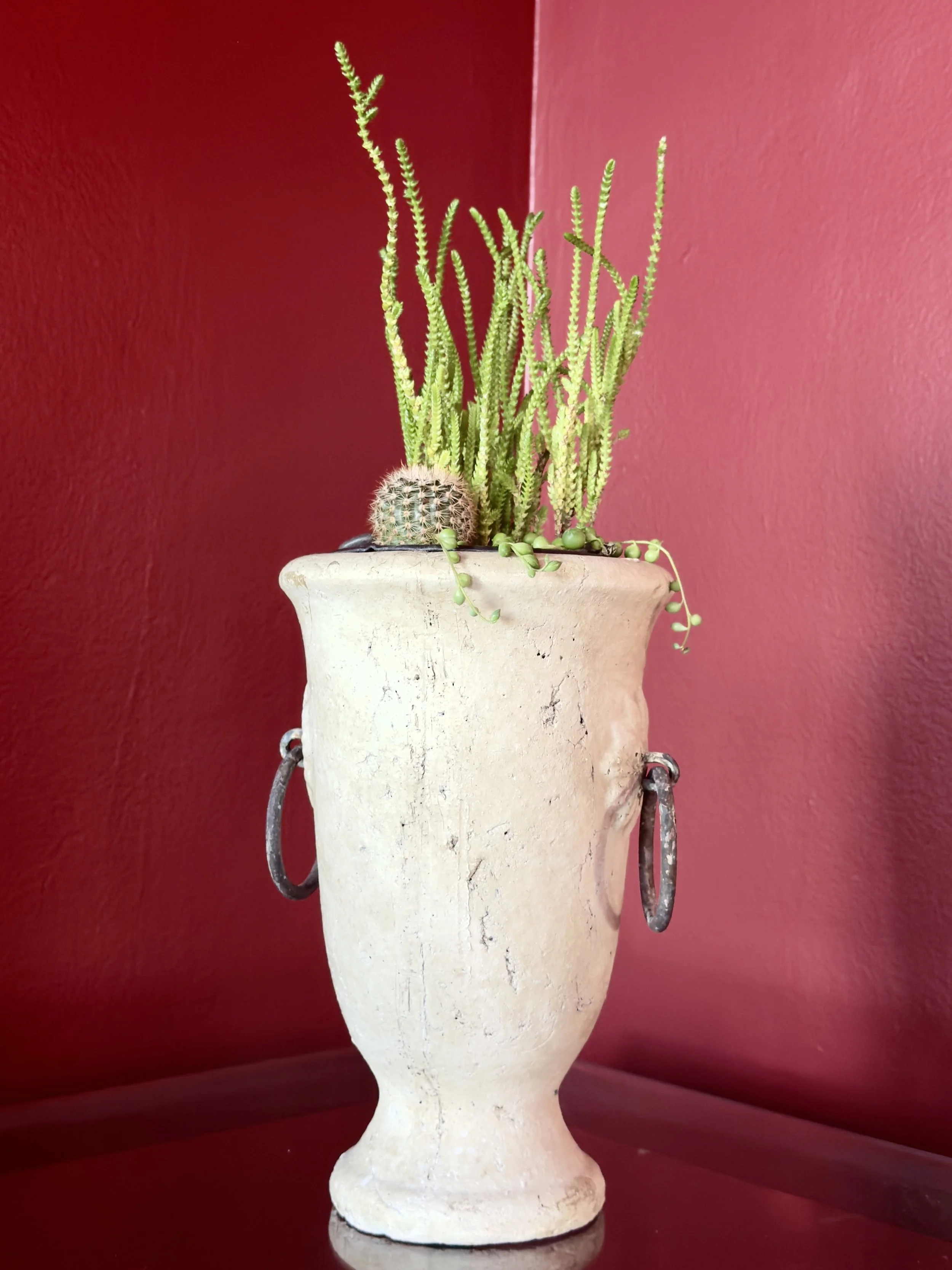 succulents in a vintage goblet planter.jpg