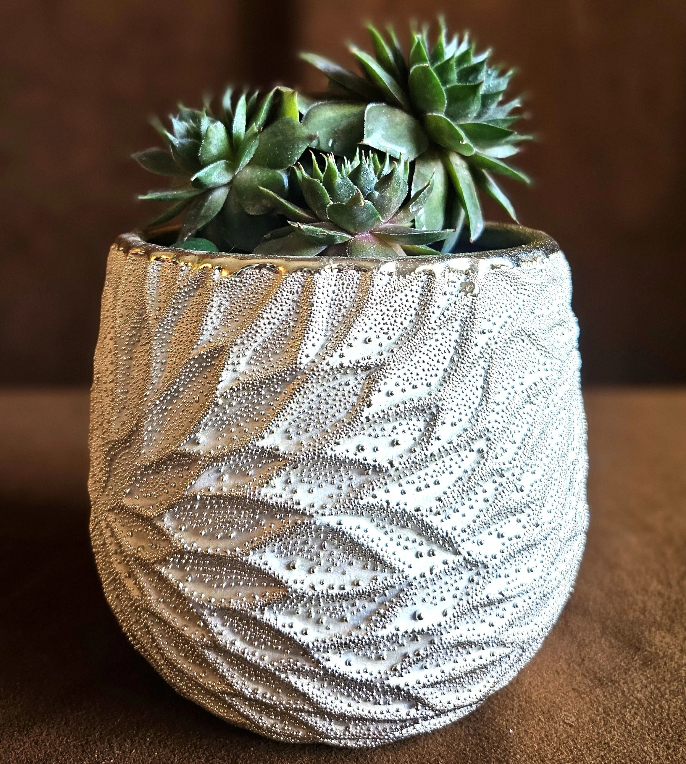 flower succulant .jpg