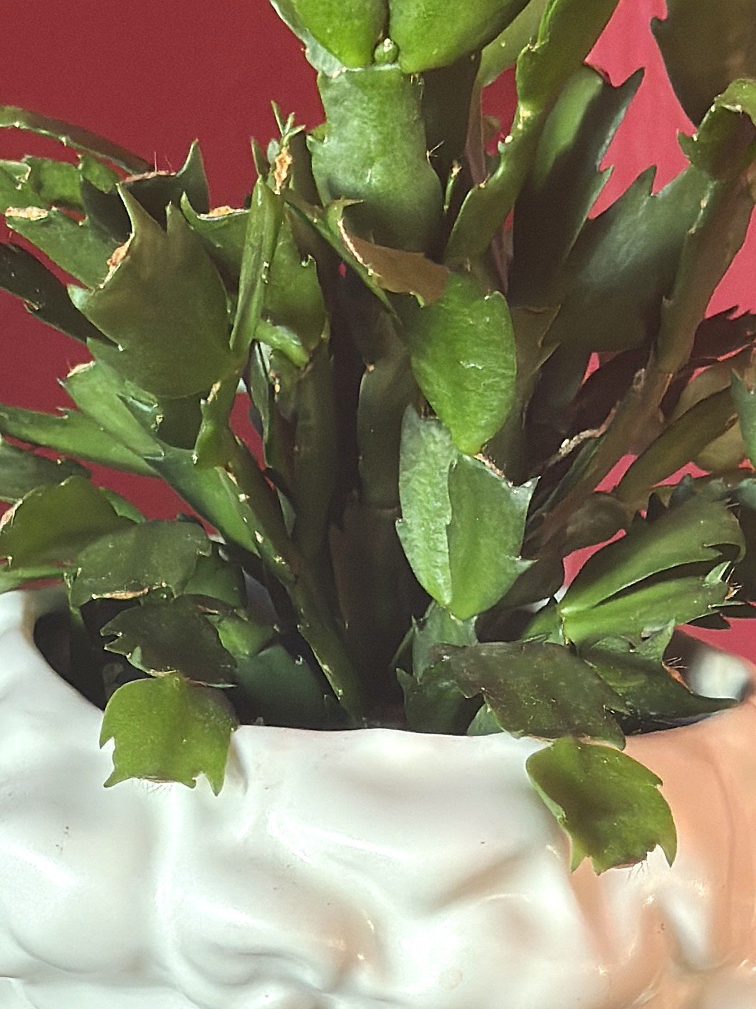 male bust planter close up.jpg