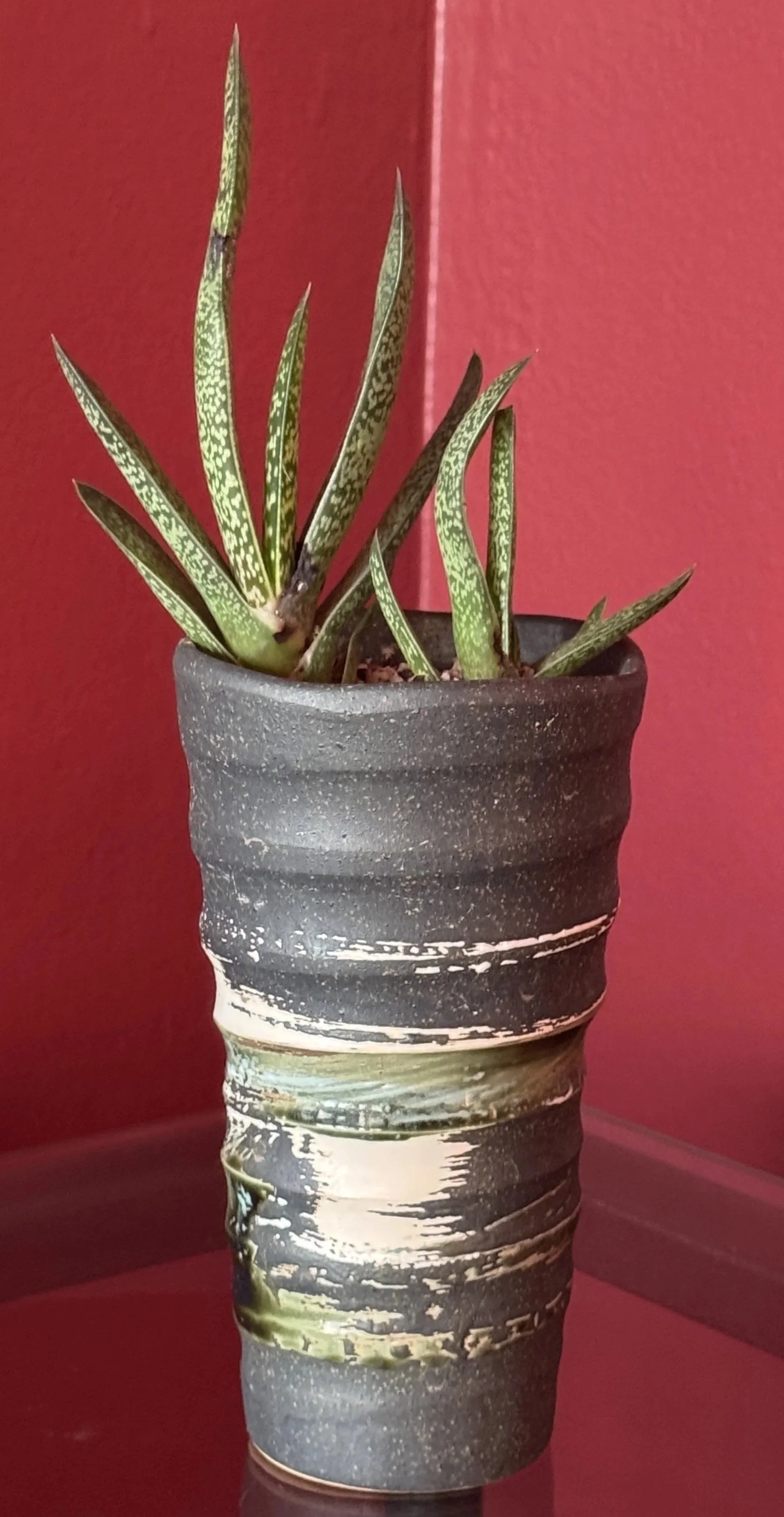 handmade+ceramic+vessel+with+succulent.jpg