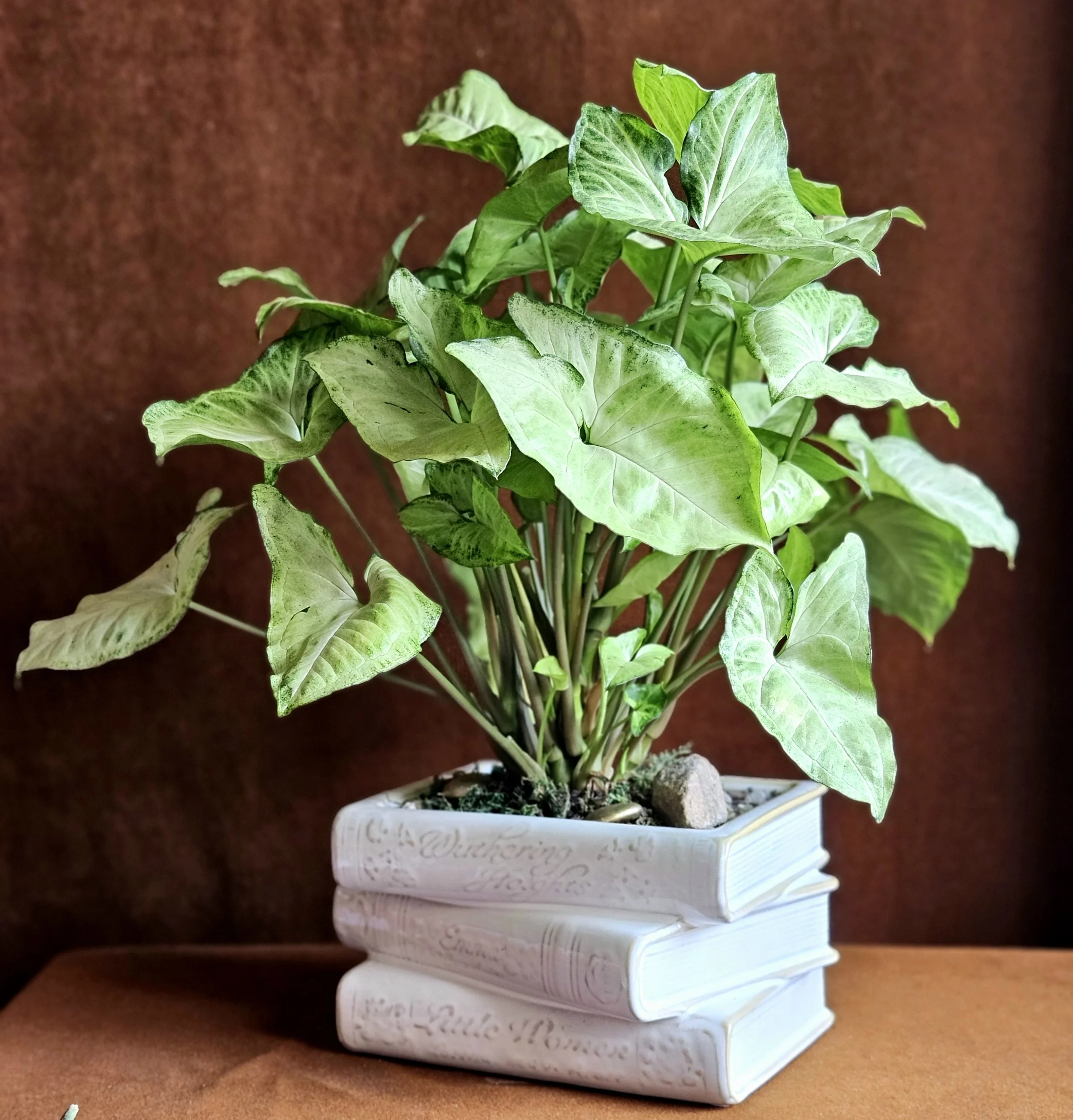The Reader's Green