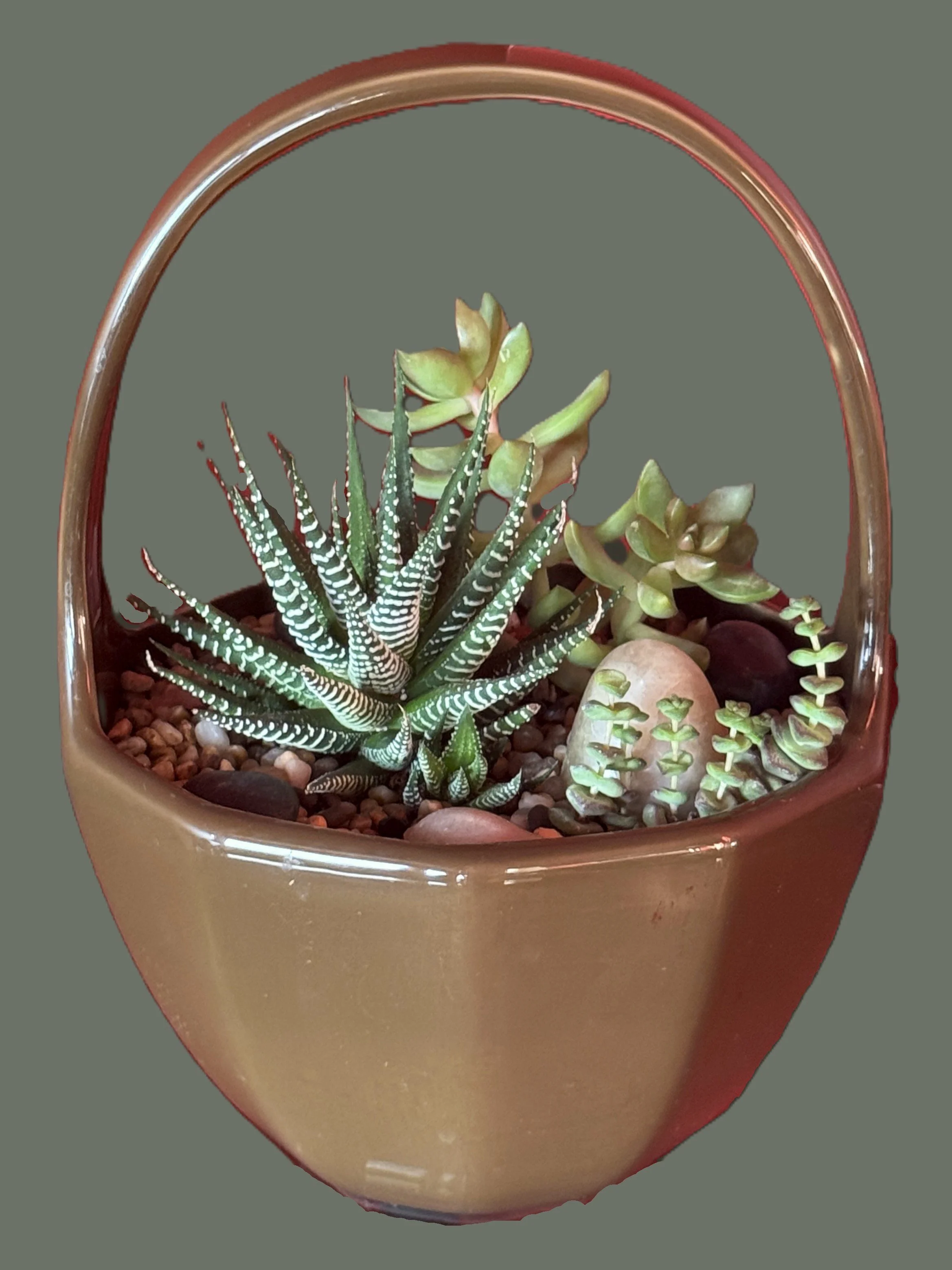 The Desert Basket