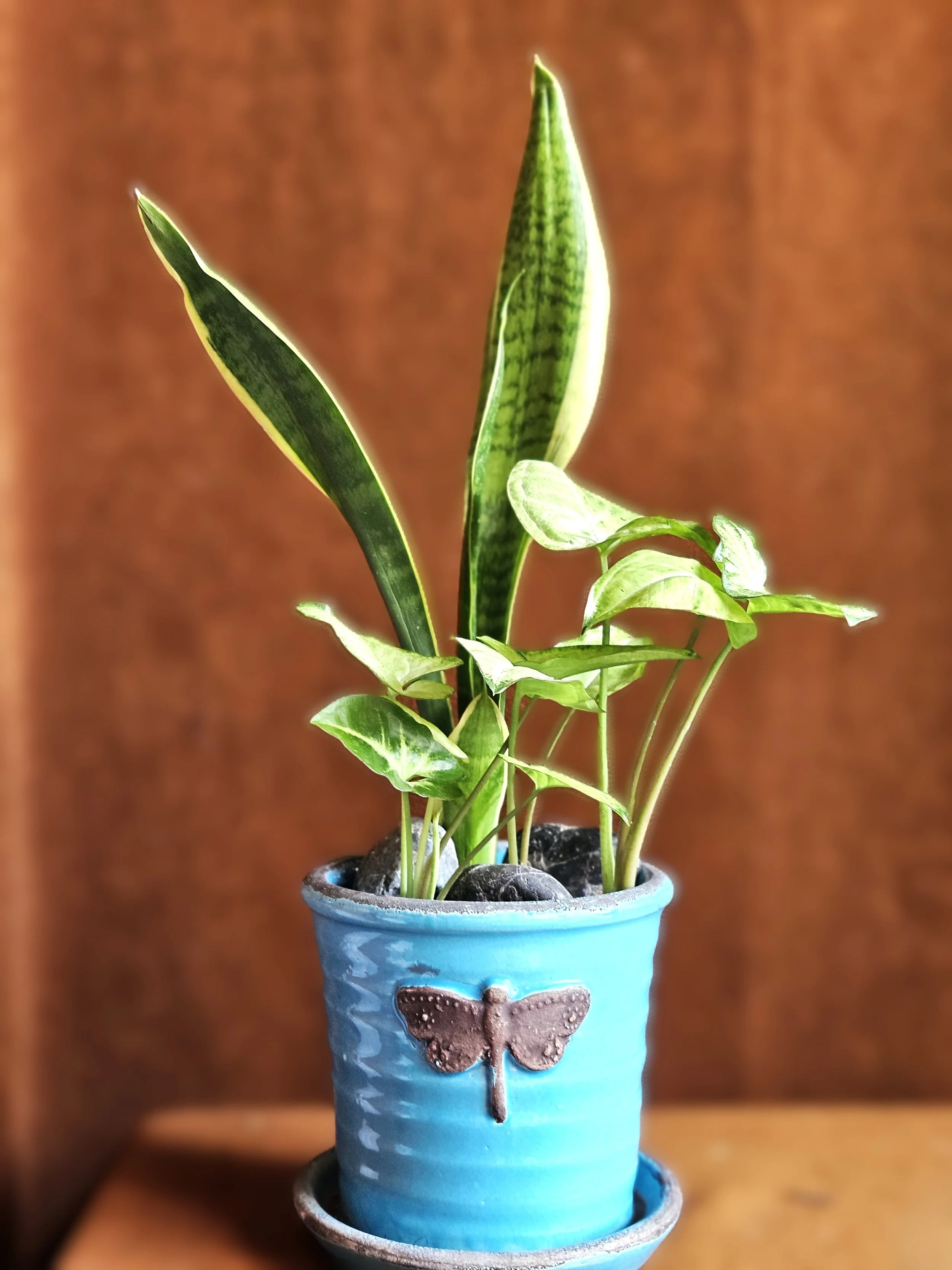Harmony in Green: Butterfly-Embossed Plant Arrangement