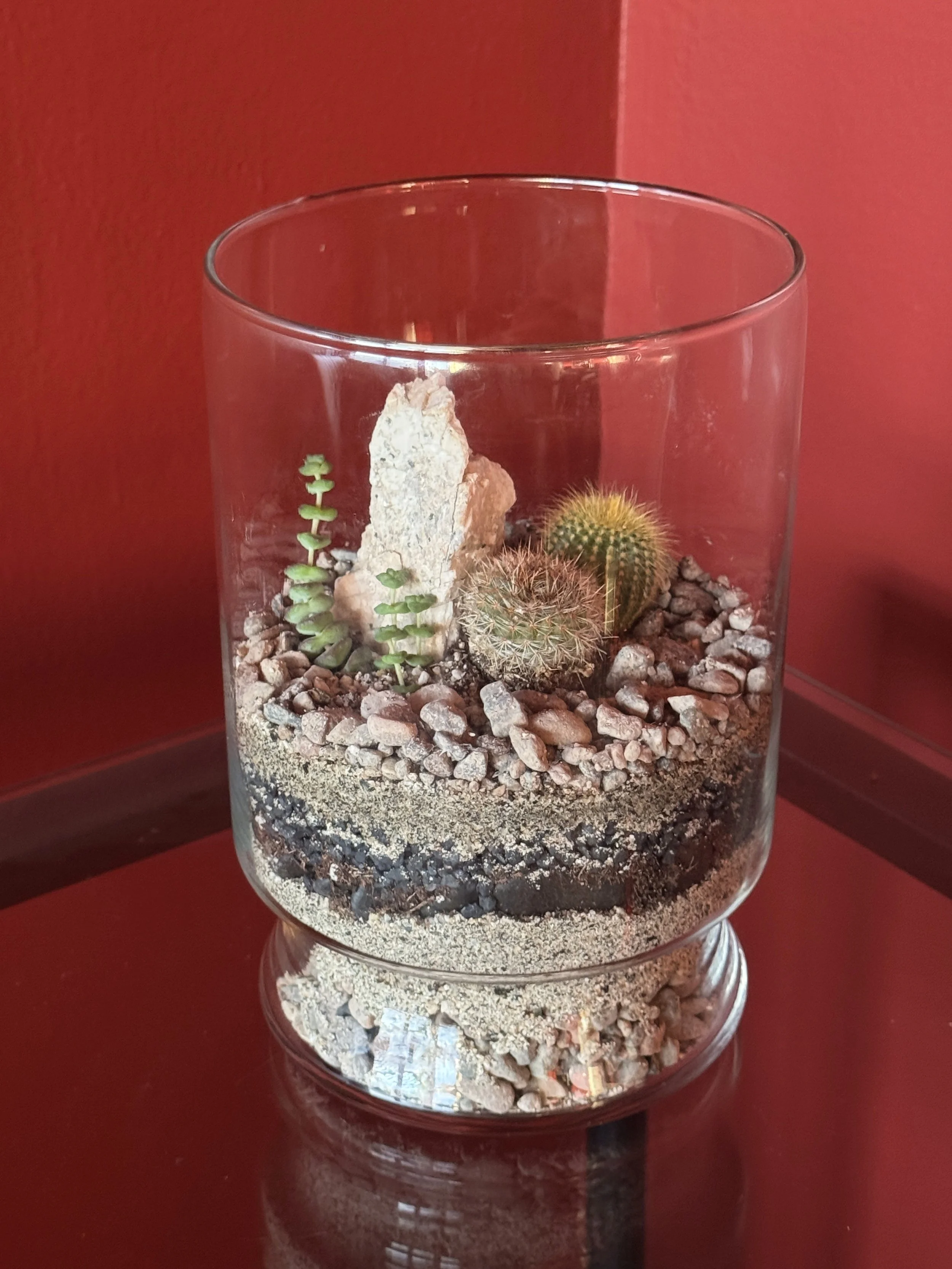 Desert Oasis Terrarium