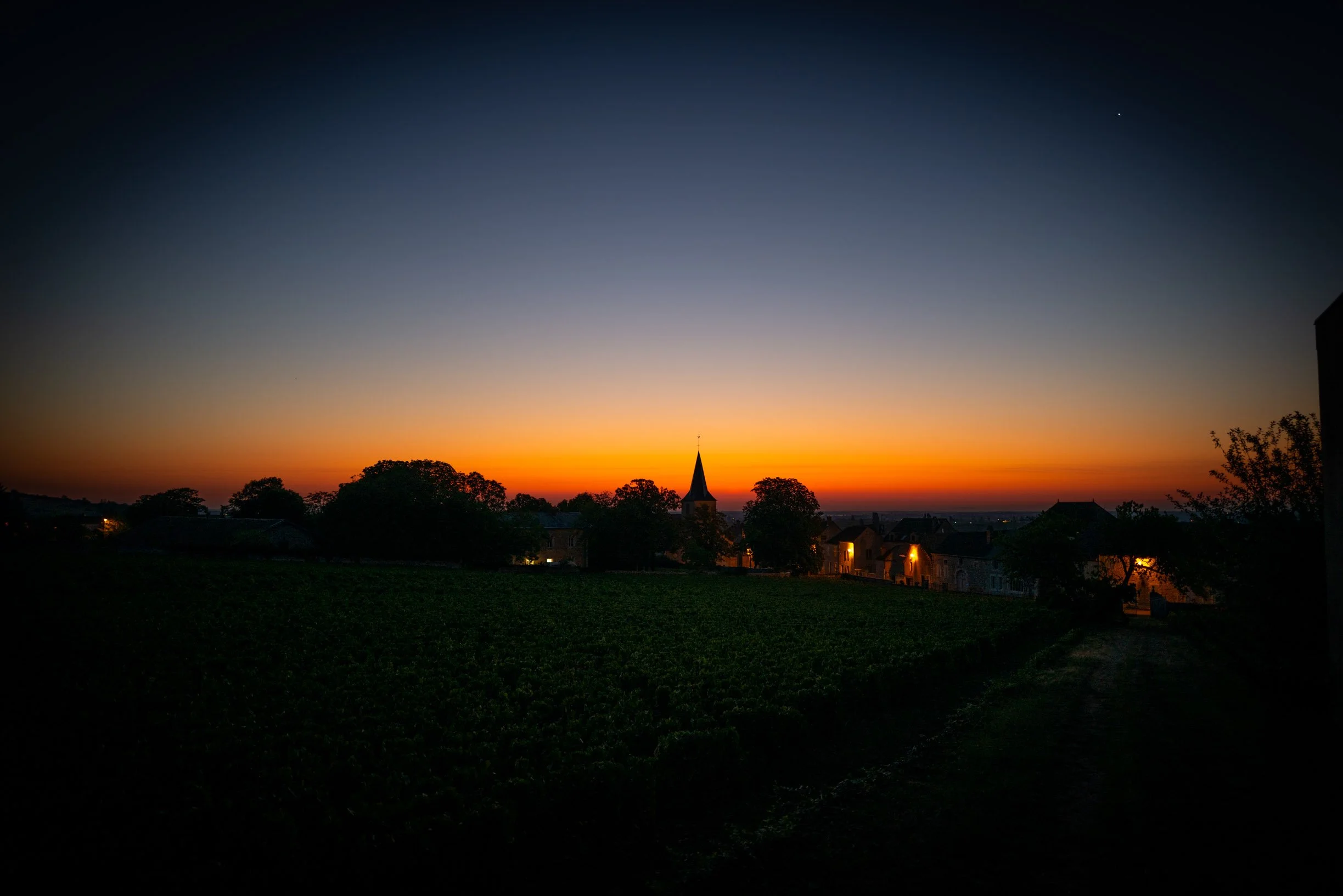 Sunrise Chassagne Montrachet.jpg