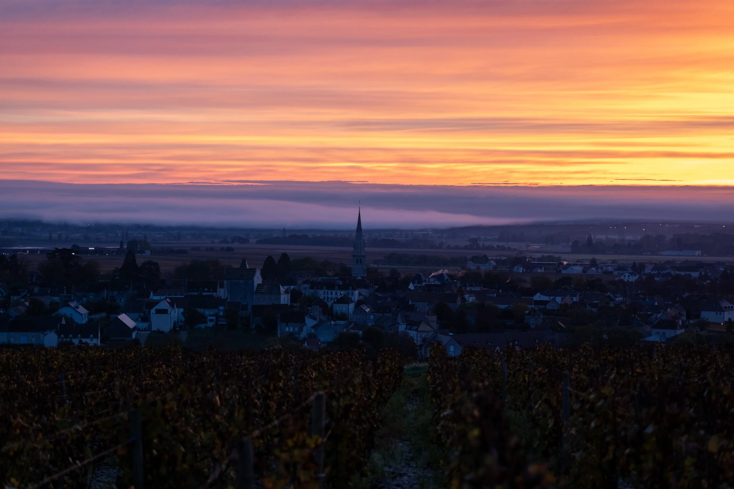 meursault dusk 3.jpg