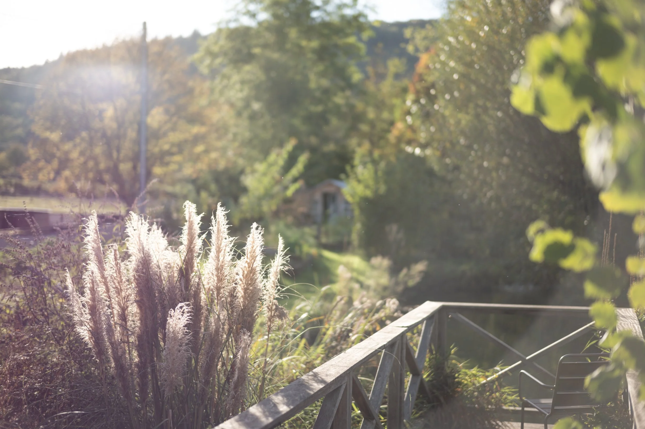 Afternoon Autumn Sun Auxey 2.jpg