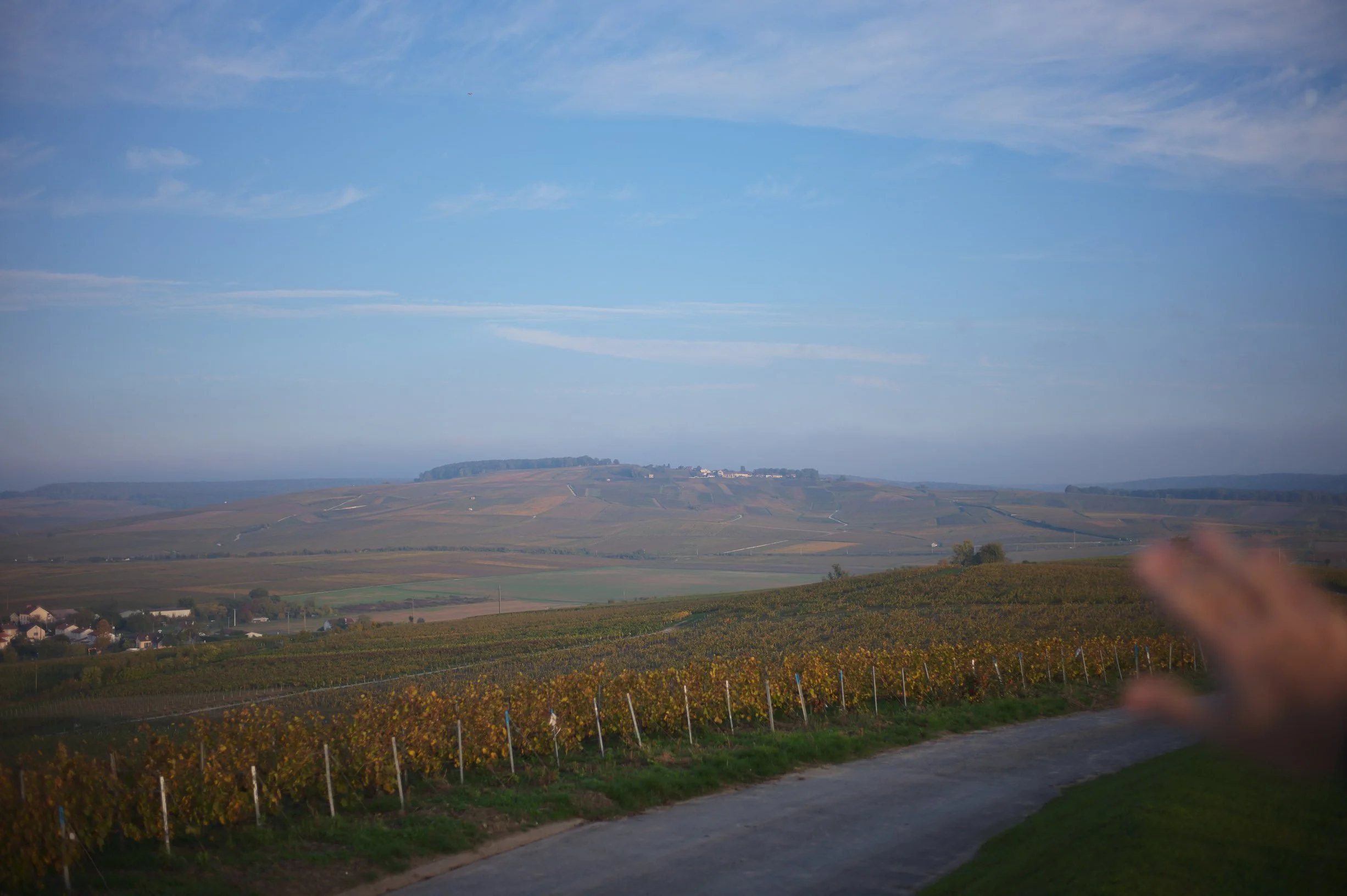 Marieul sur Ay 2.jpg