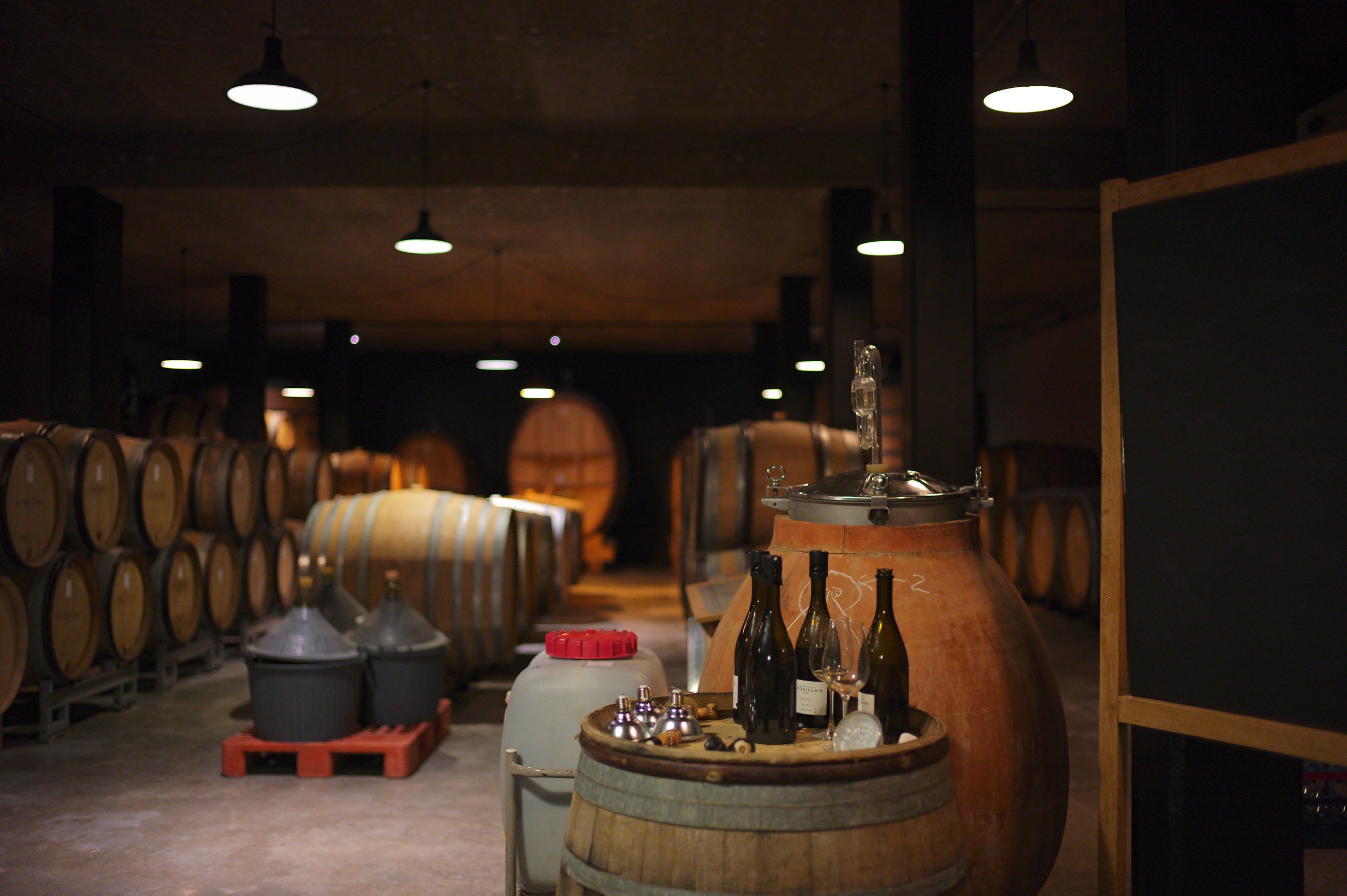 Marieul sur Ay 7.jpg