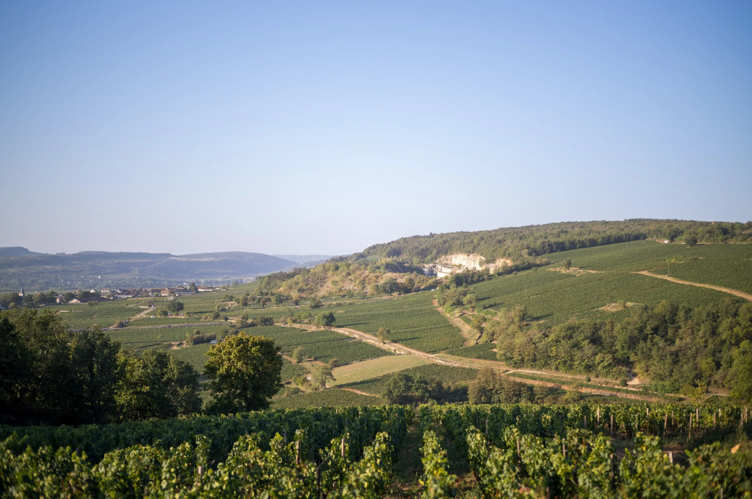 Saint Aubin to Chassagne Montrachet 2.jpg