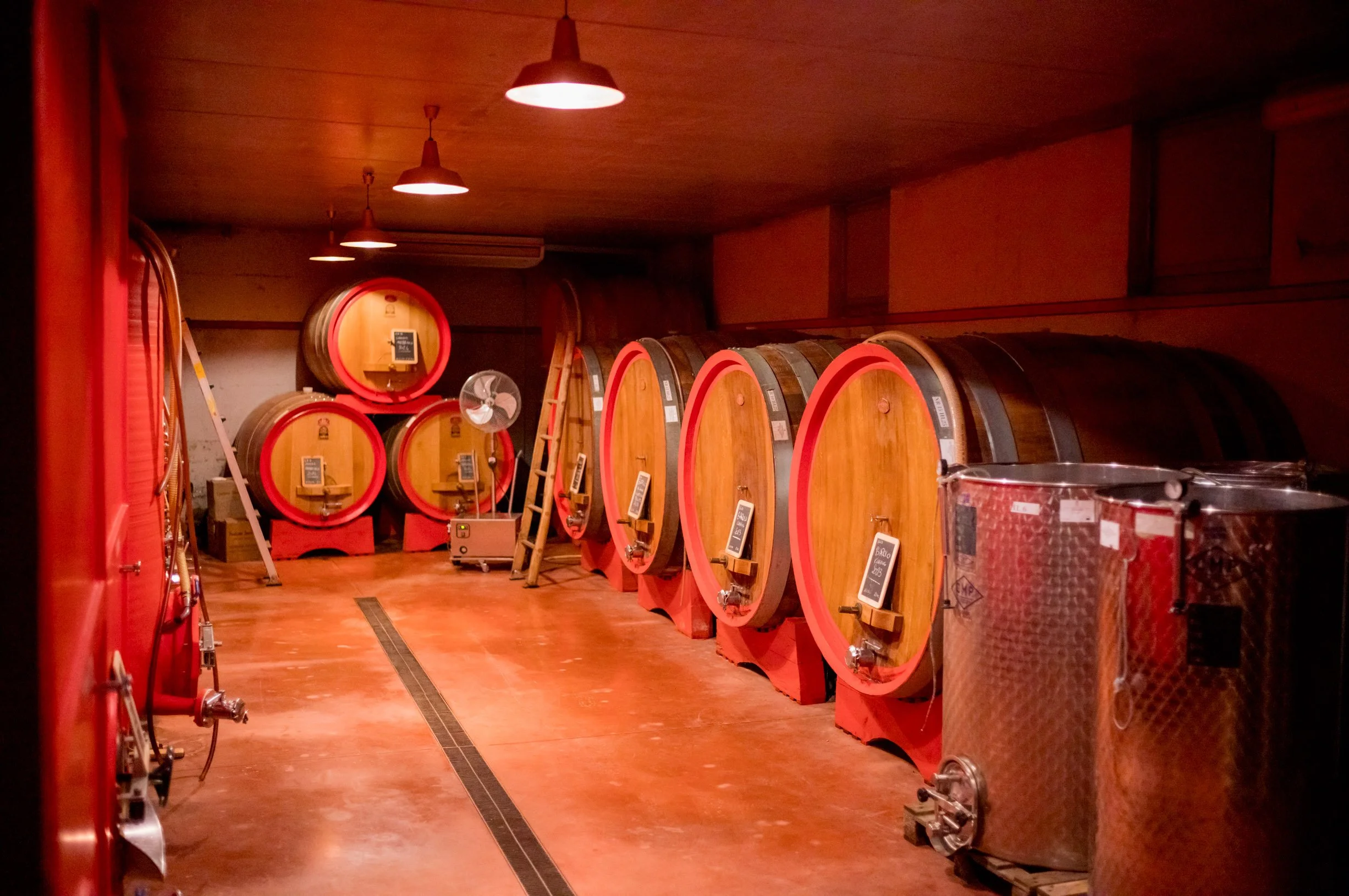 Cellar Fontana.jpg