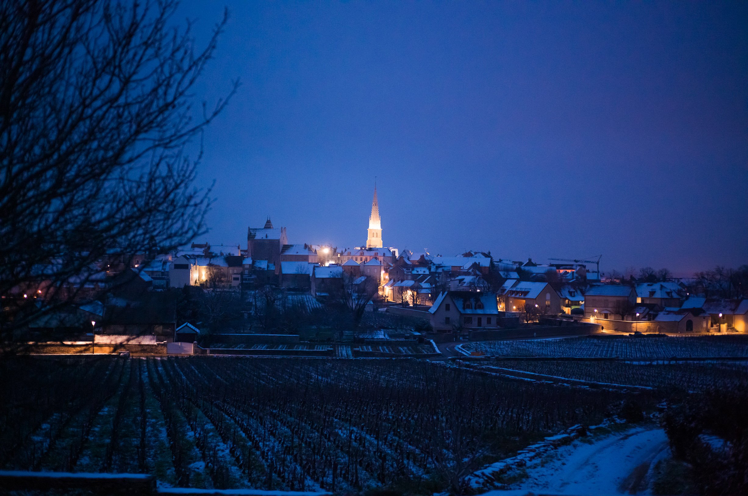 Meursault winter.jpg