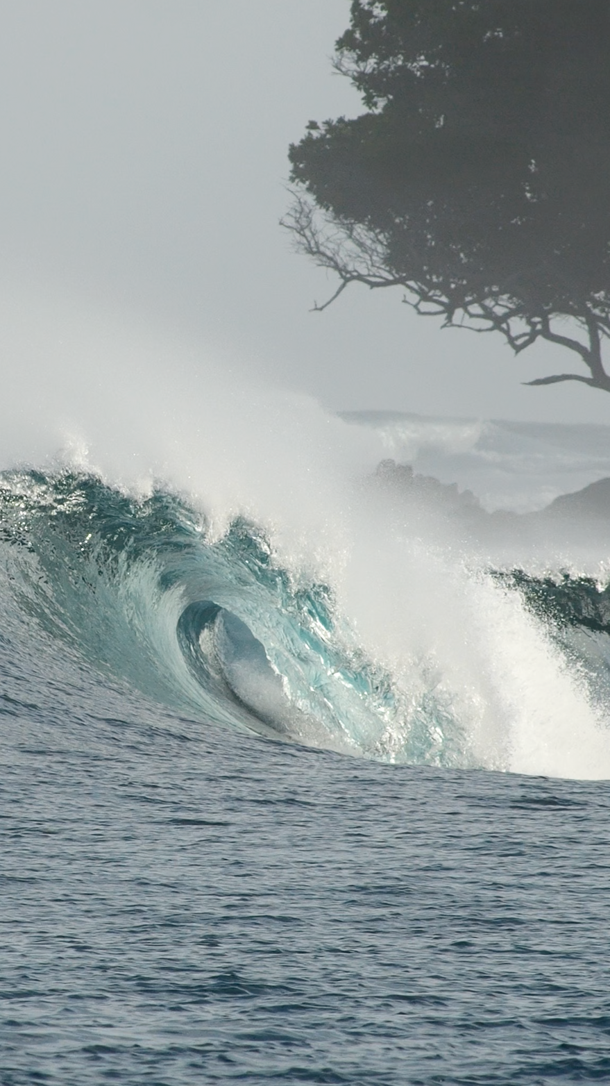 School of barrels Surf Camps Surf Charters Mentawai and Banyak Islands Indonesia