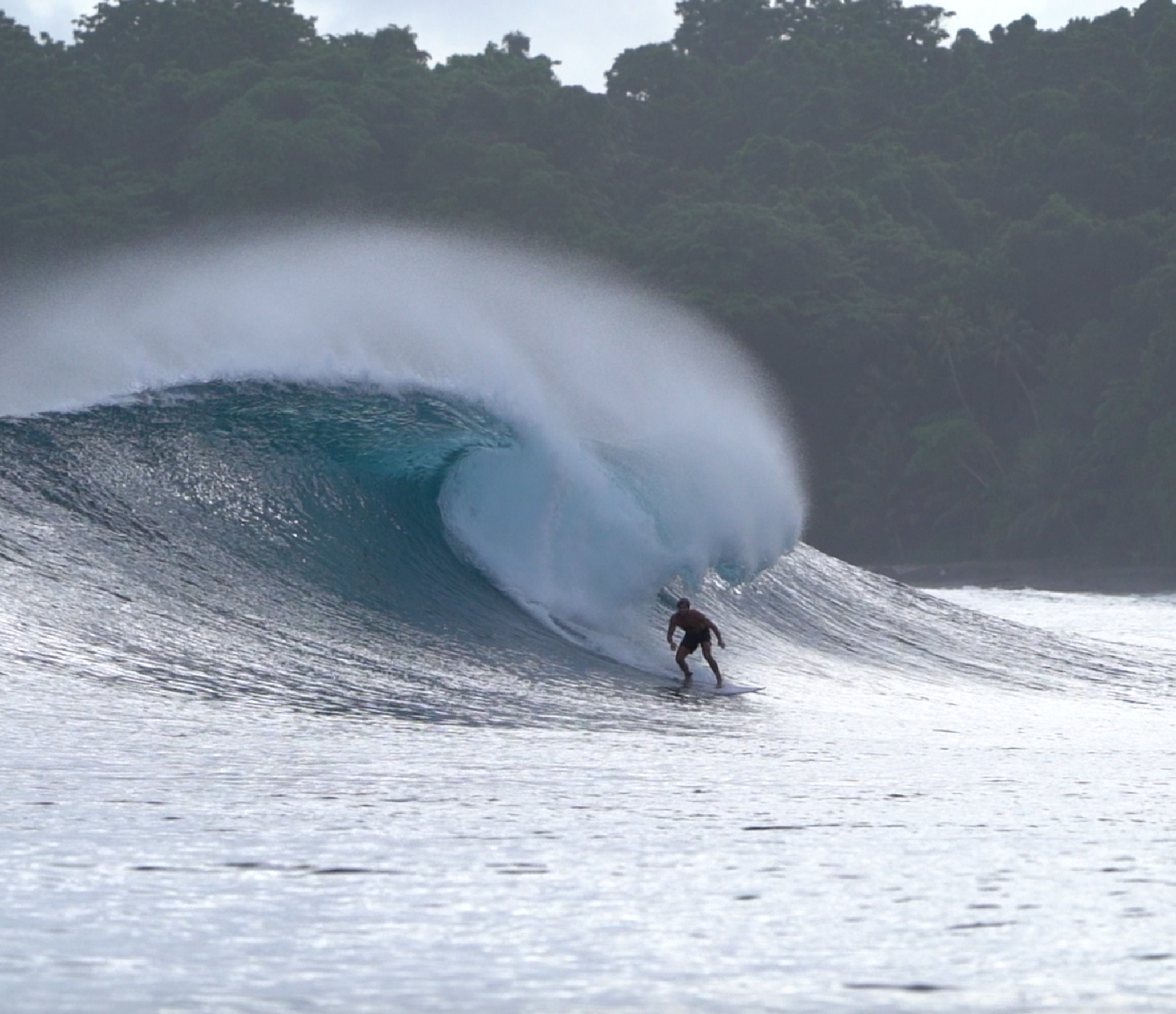 Снимок экрана 2026-02-16 в 18.28.24.png