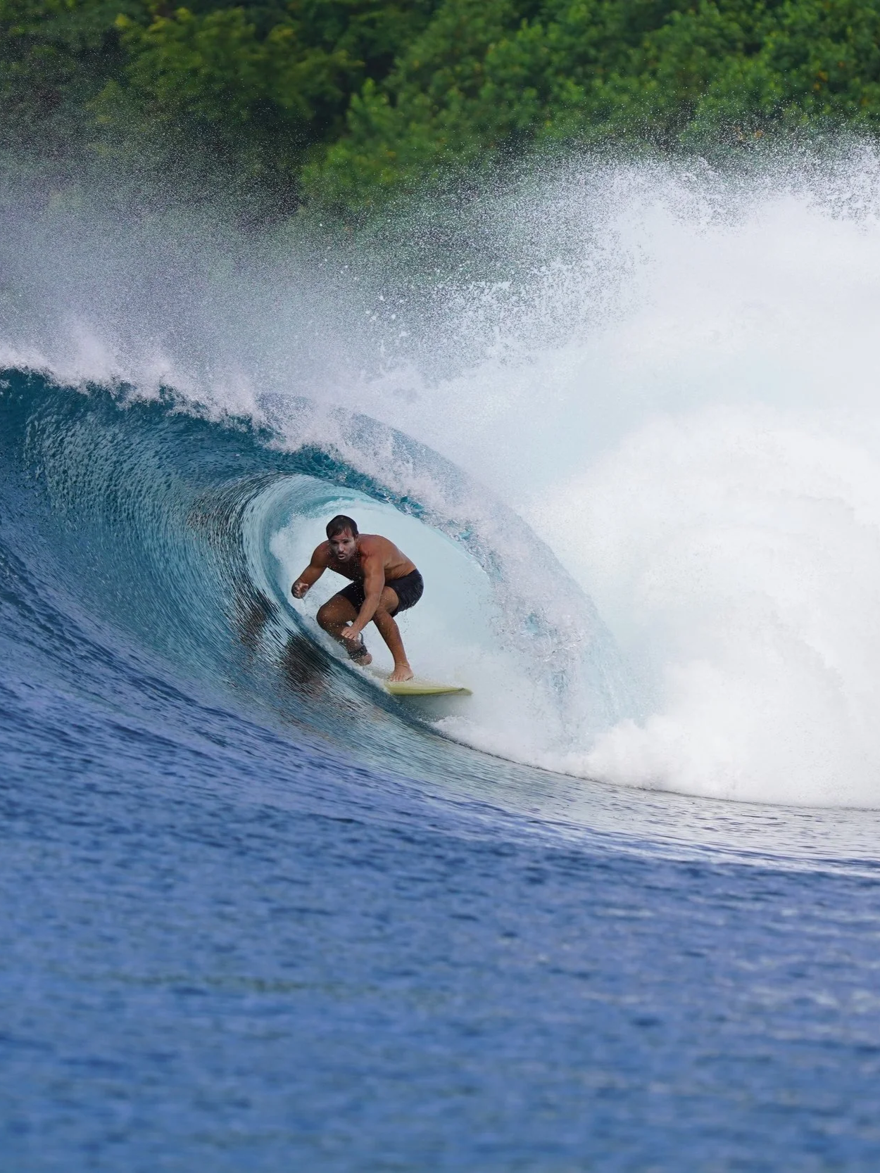 School of barrels Surf Camps and Surf Charters in Mentawai and Banyak Islands Indonesia