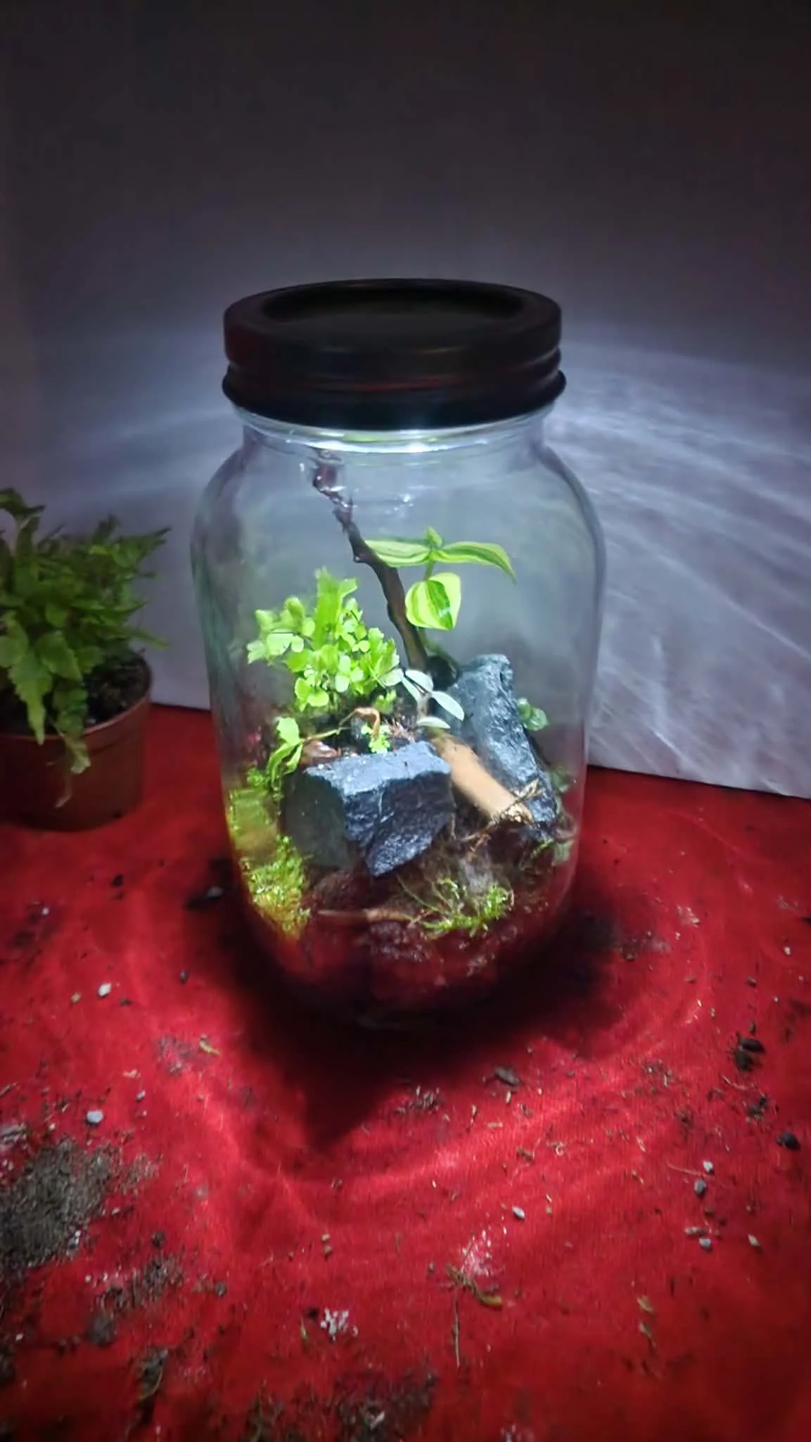 74400db9-426a-429a-b704-7628fc404460.jfif