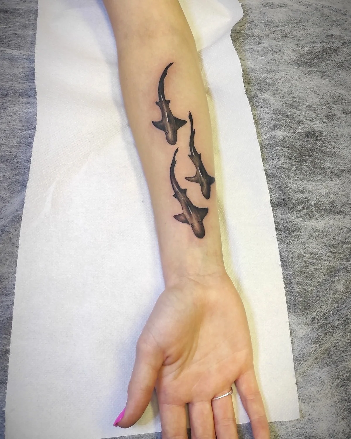 Trijų ryklių tatuiruotė ant dilbio.