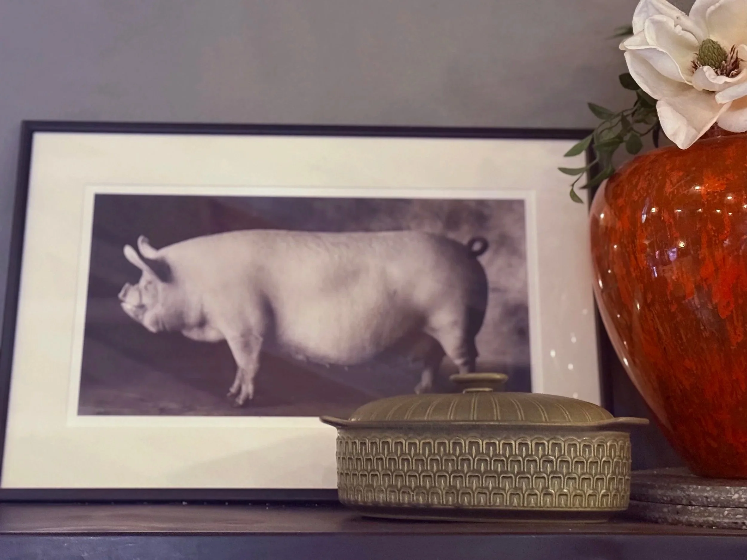 A framed black and white photograph of a pig standing on a surface, with a large orange vase with a white flower and green leaves, and a decorative round box with a textured surface in front of the photograph.