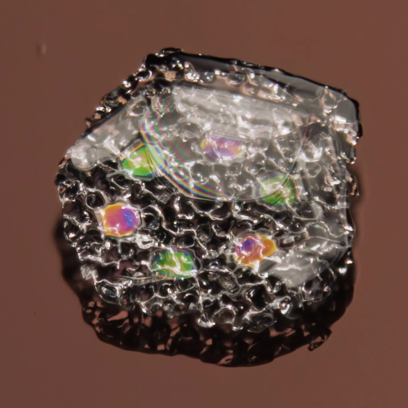 Macro photograph of a melting simple plate snow crystal, reflecting rainbow-like iridescence.