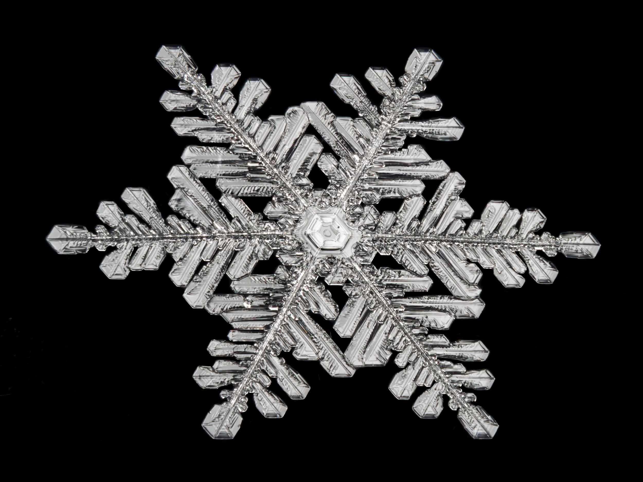 Macro photograph of a large, detailed fernlike stellar dendrite snowflake with a distinctive pattern in the center.