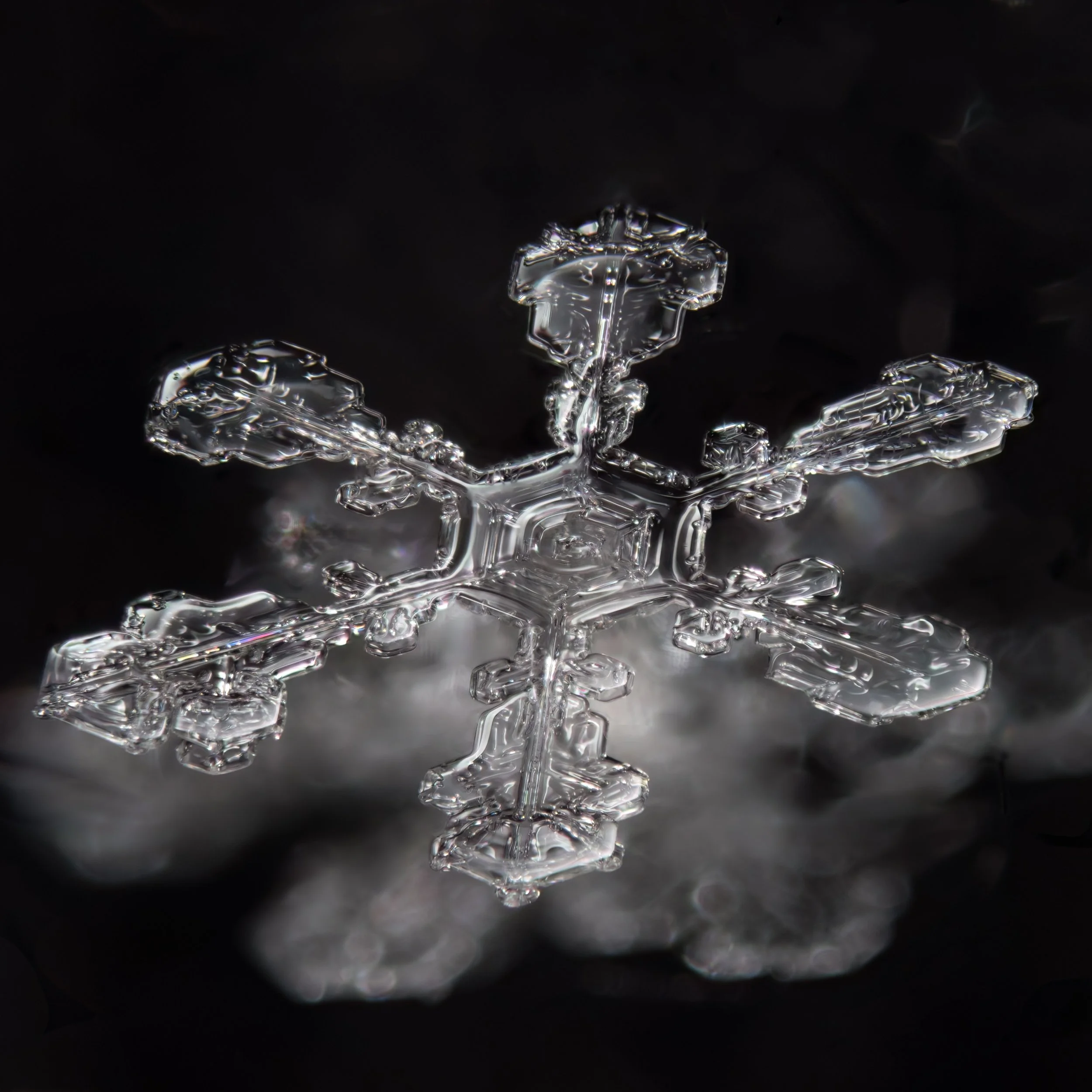 Macro photograph of a clear stellar dendrite snowflake with intricate patterns.