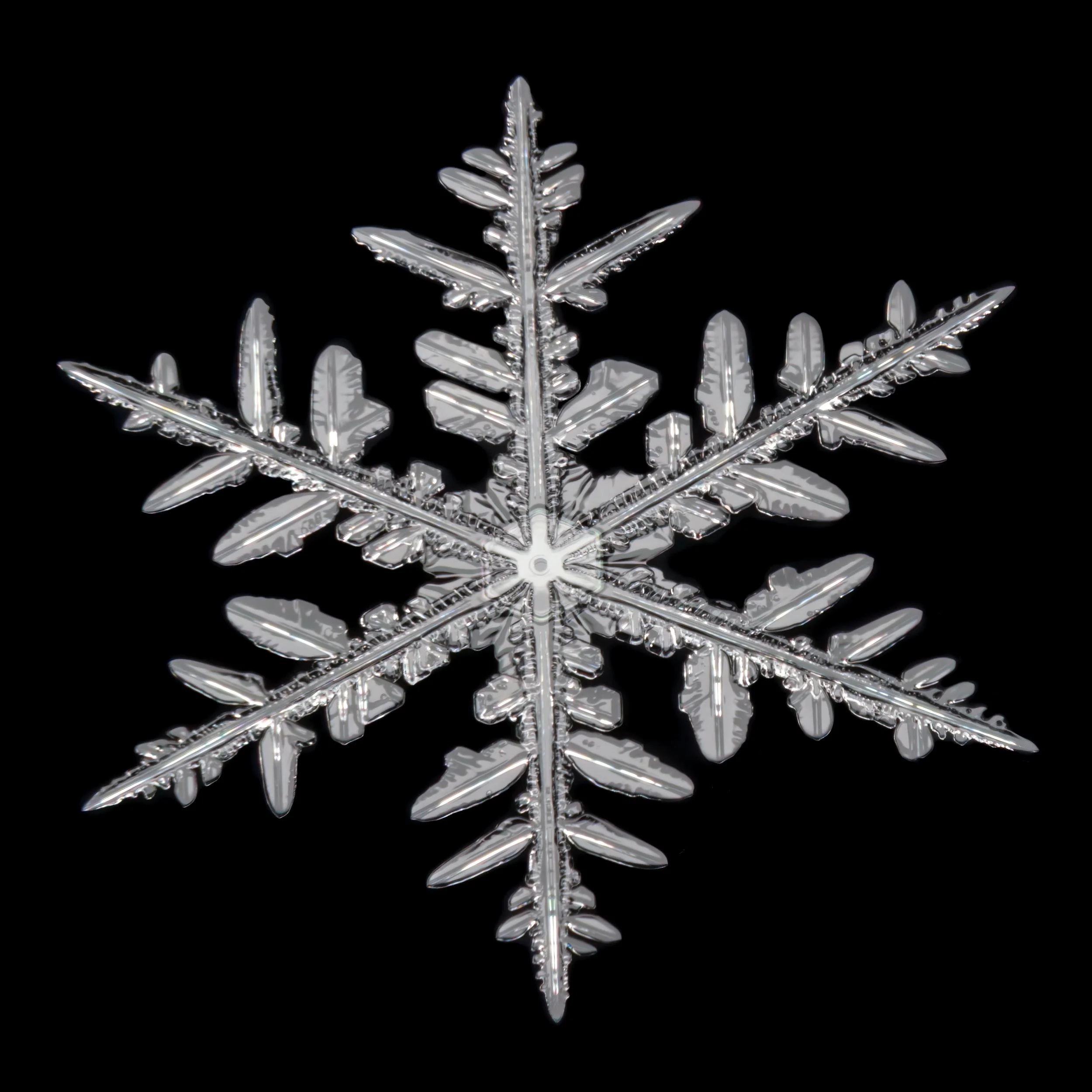Macro photograph of a stellar dendrite snowflake with thin and long arms.