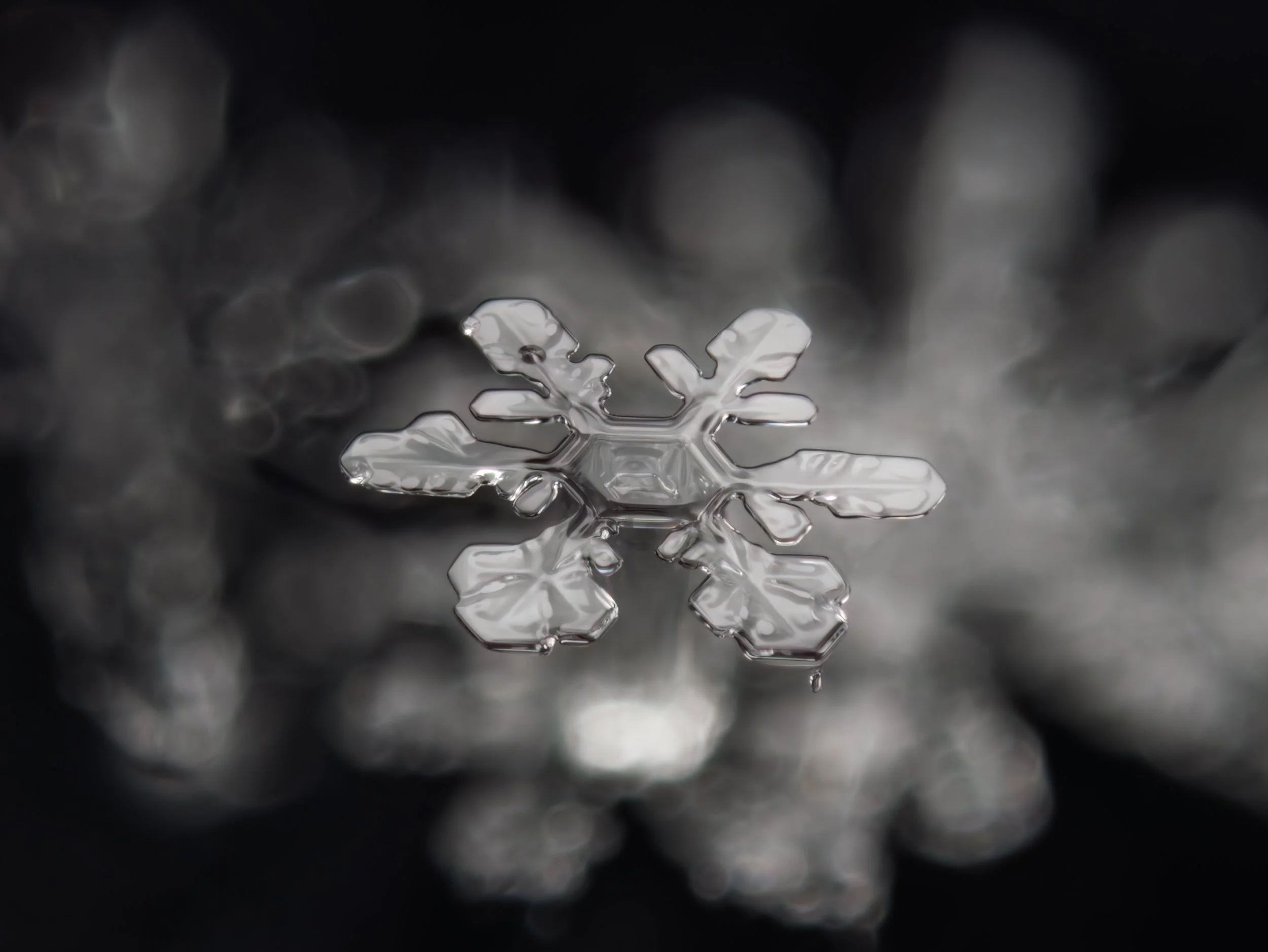 Macro photograph of a stellar dendrite snowflake with intricate patterns, looking like it is floating in air.