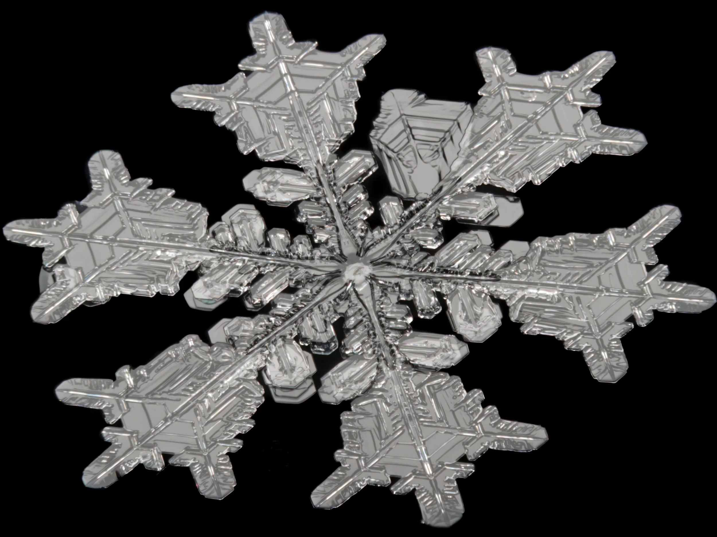 Macro photograph of a detailed stellar dendrite snowflake.