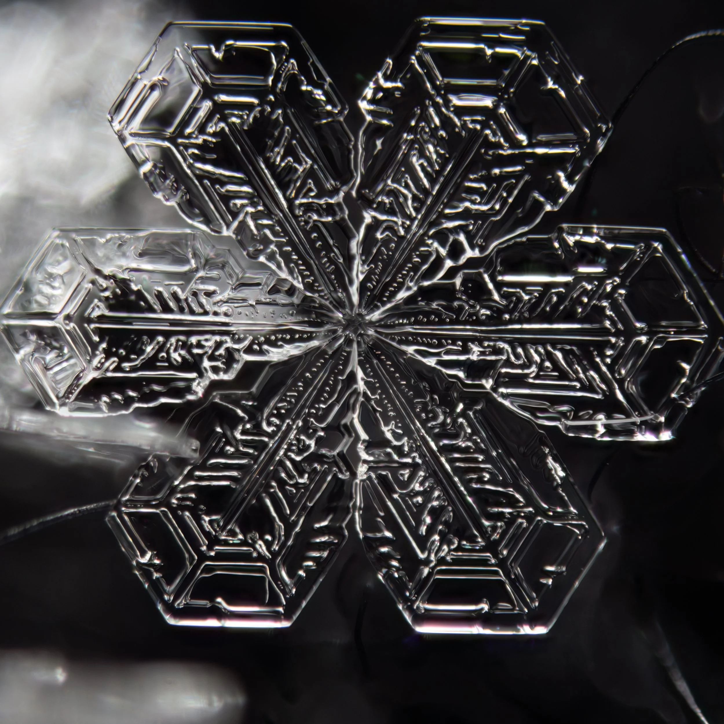 Macro photograph of a sectored plate snowflake with intricate hexagonal patterns and details.