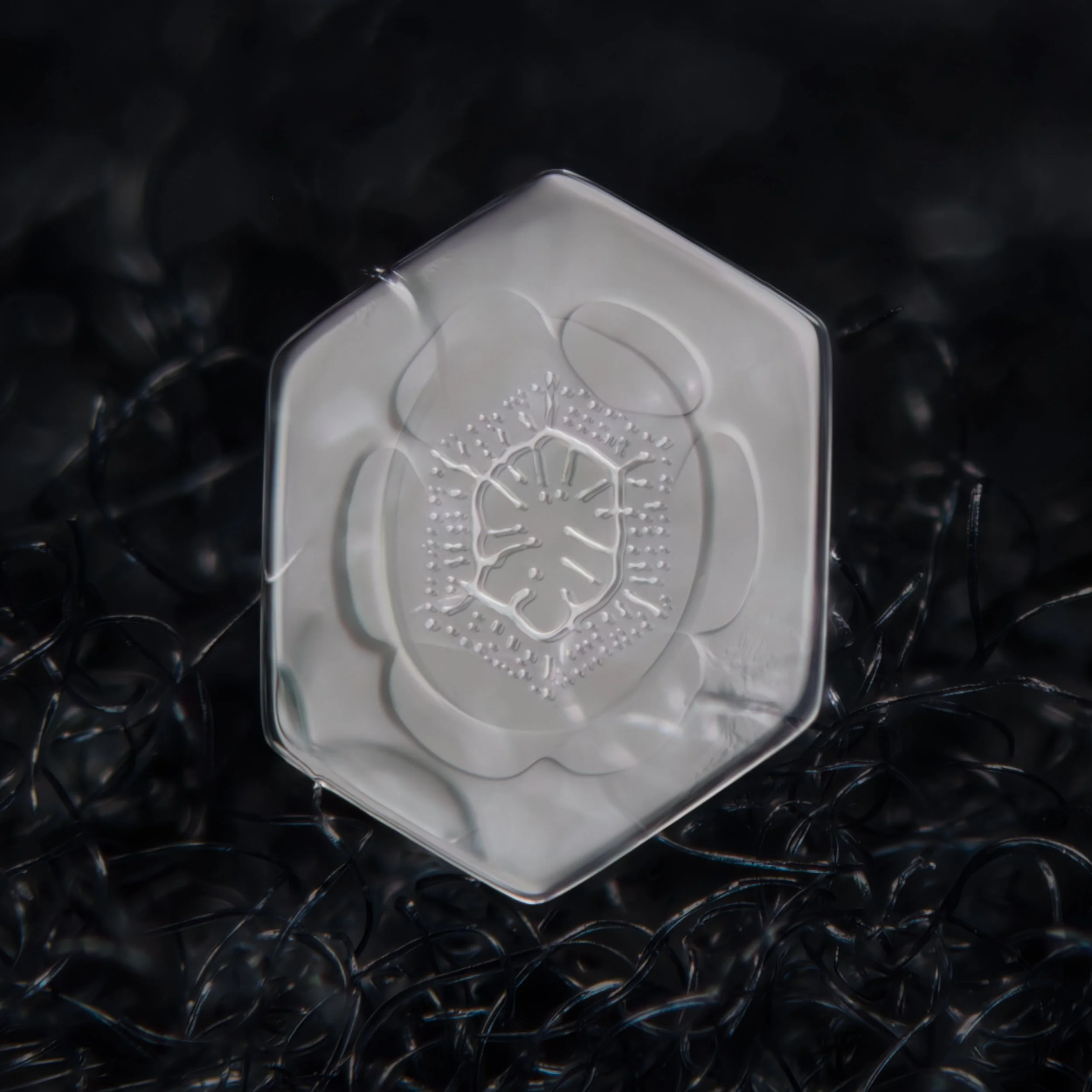 Macro photograph of a clear plate shaped snowflake with a symmetrical pattern in the center part.