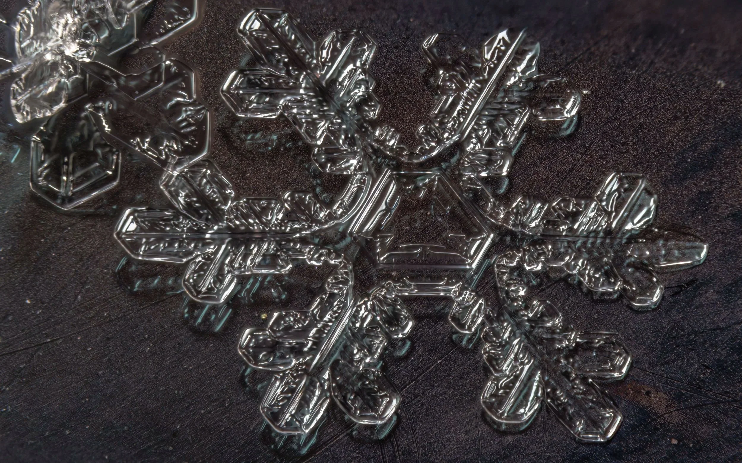 Macro photograph of a clear stellar dendrite snowflake.