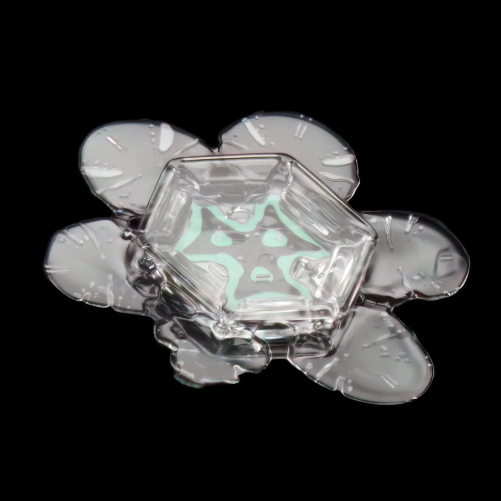 Macro photograph of a transparent, flower-shaped snow crystal with a decorative pattern inside.