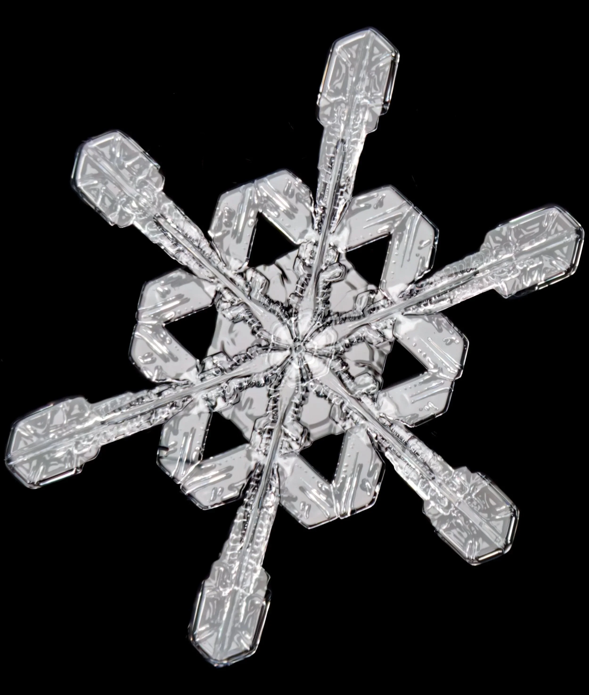 Macro photograph of a transparent stellar dendrite snowflake with intricate details.