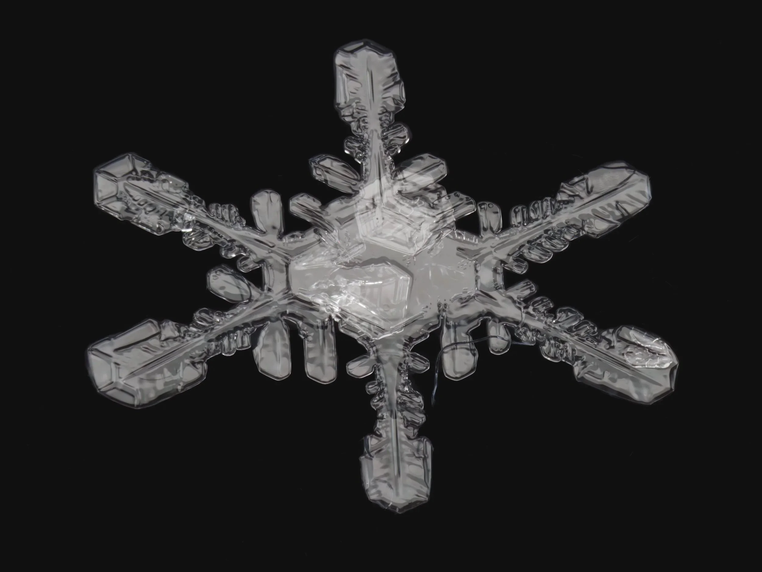Macro photograph of a clear, detailed stellar dendrite snowflake.