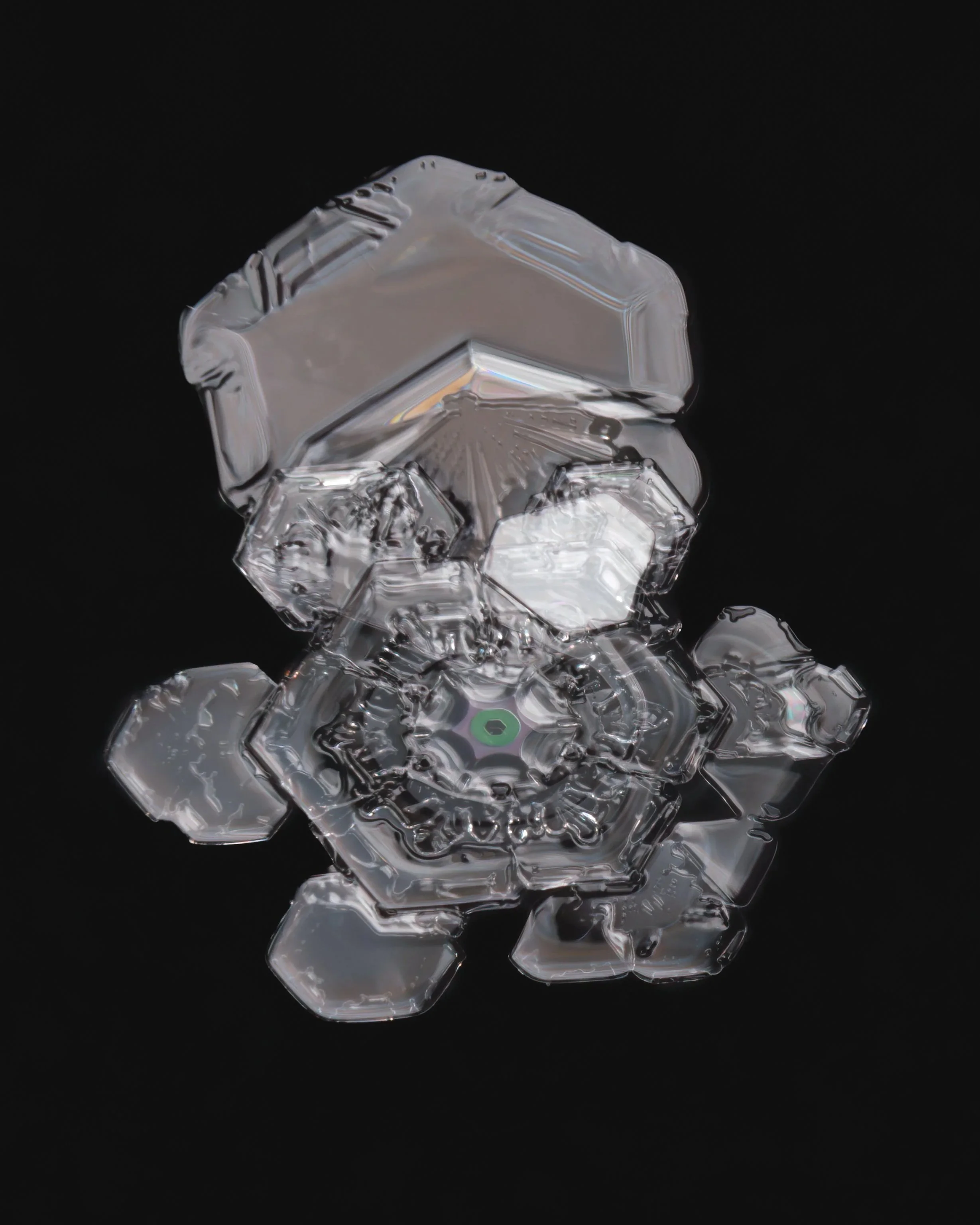 Macro photograph of two snow crystals with intricate patterns.