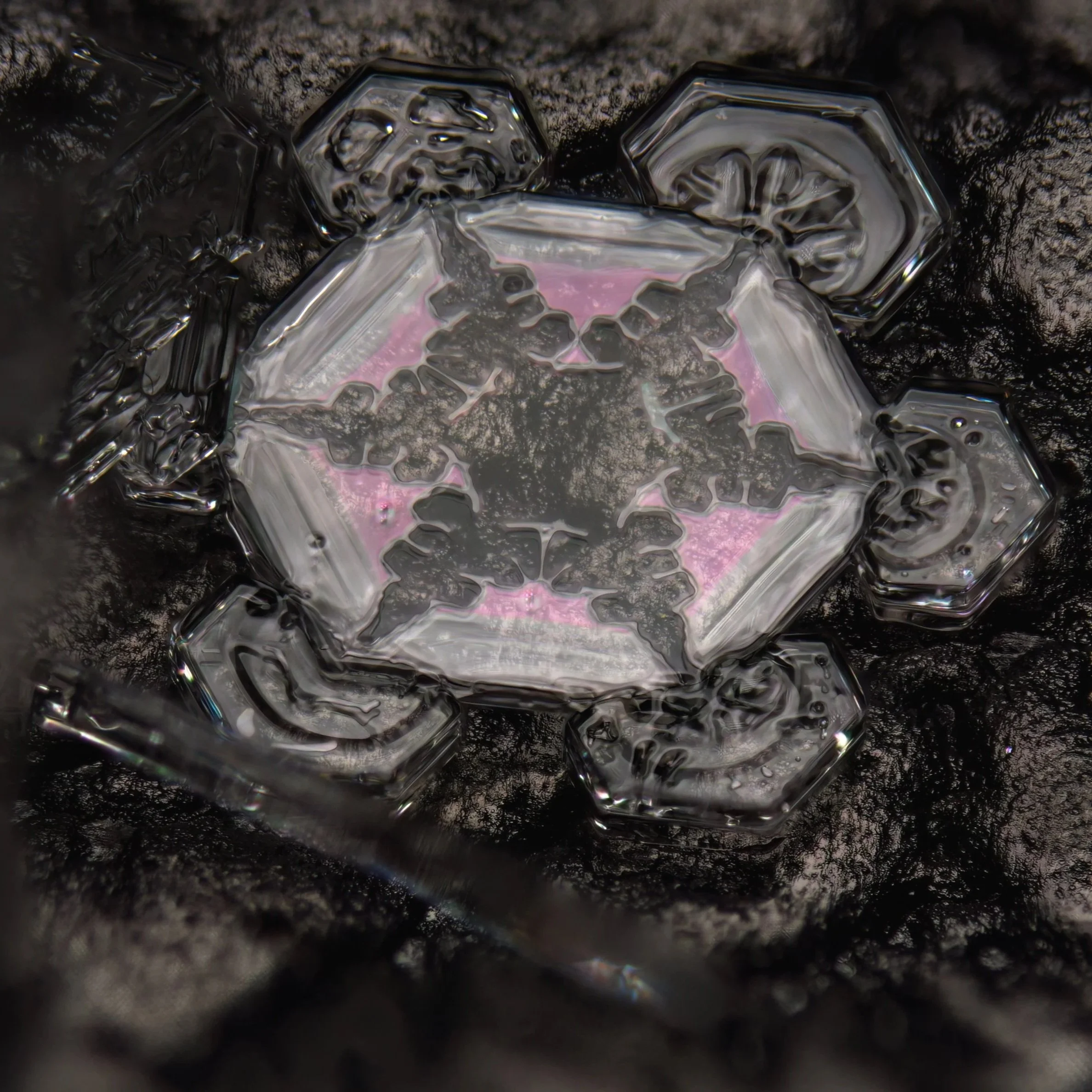 Macro photograph of a sectored plate snowflake with pink colour and a hexagonal shape and intricate details.