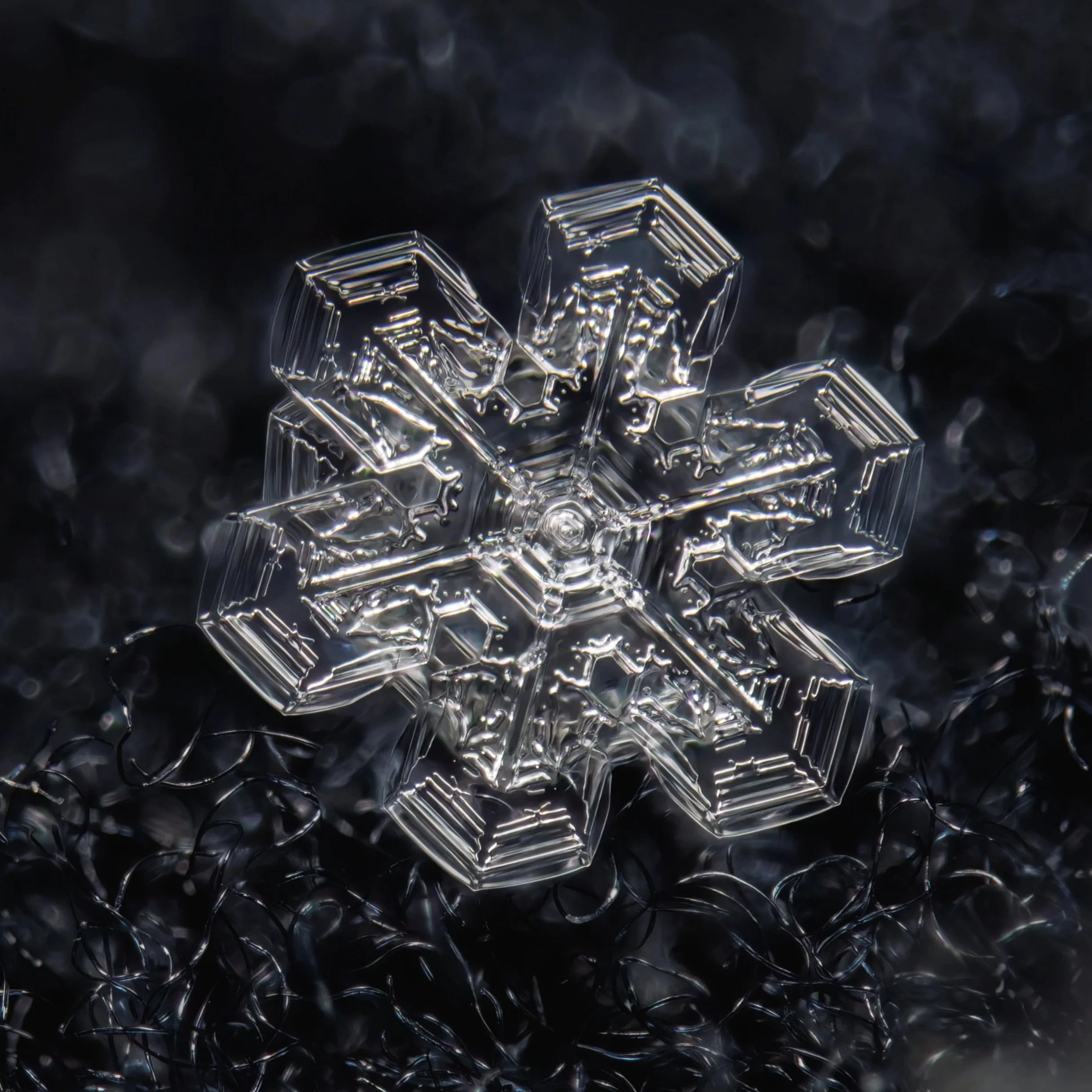Macro photograph of a single sectored plate snowflake.