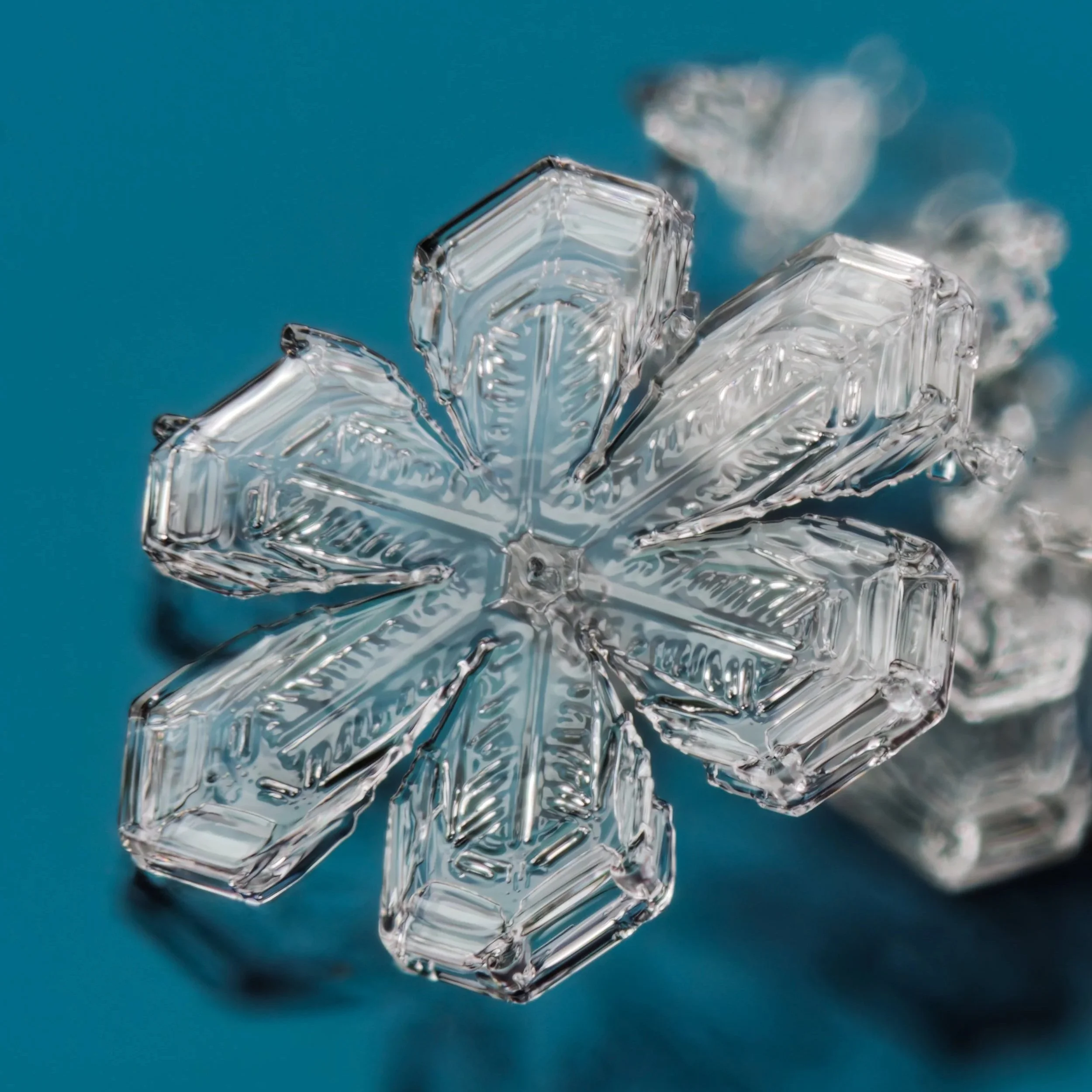 Macro photograph view of a clear, detailed sectored plate snowflake against a blue background.