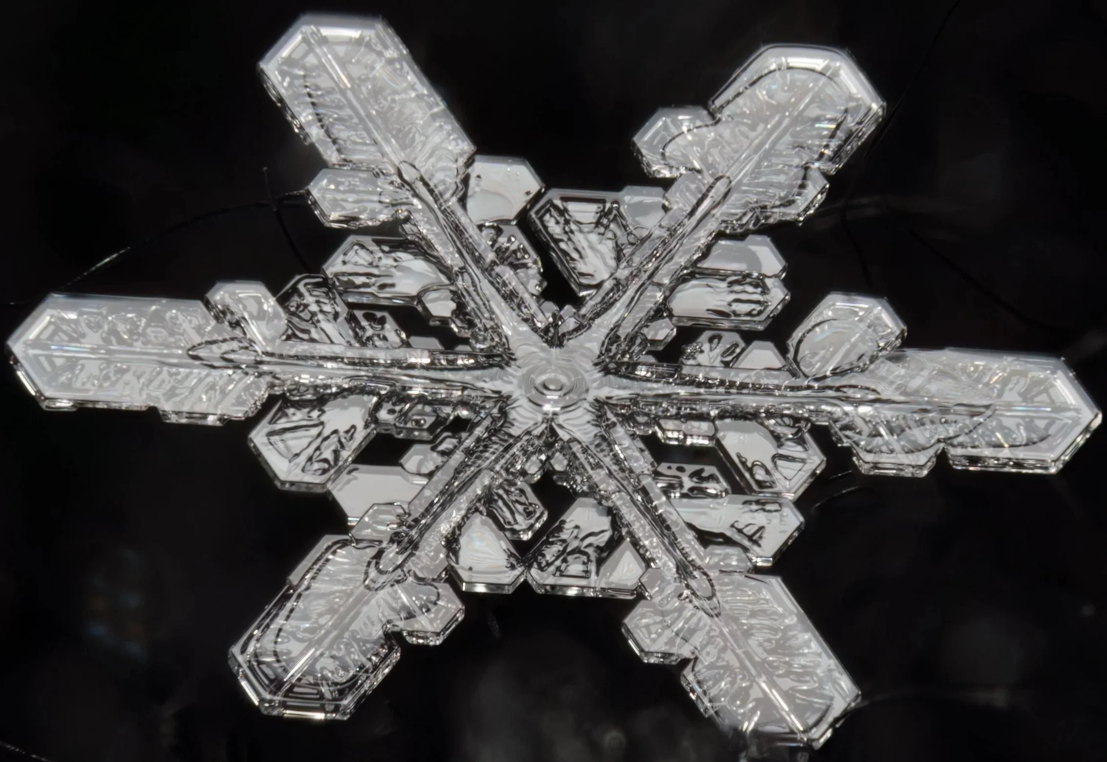 Macro photograph of a stellar dendrite snowflake.
