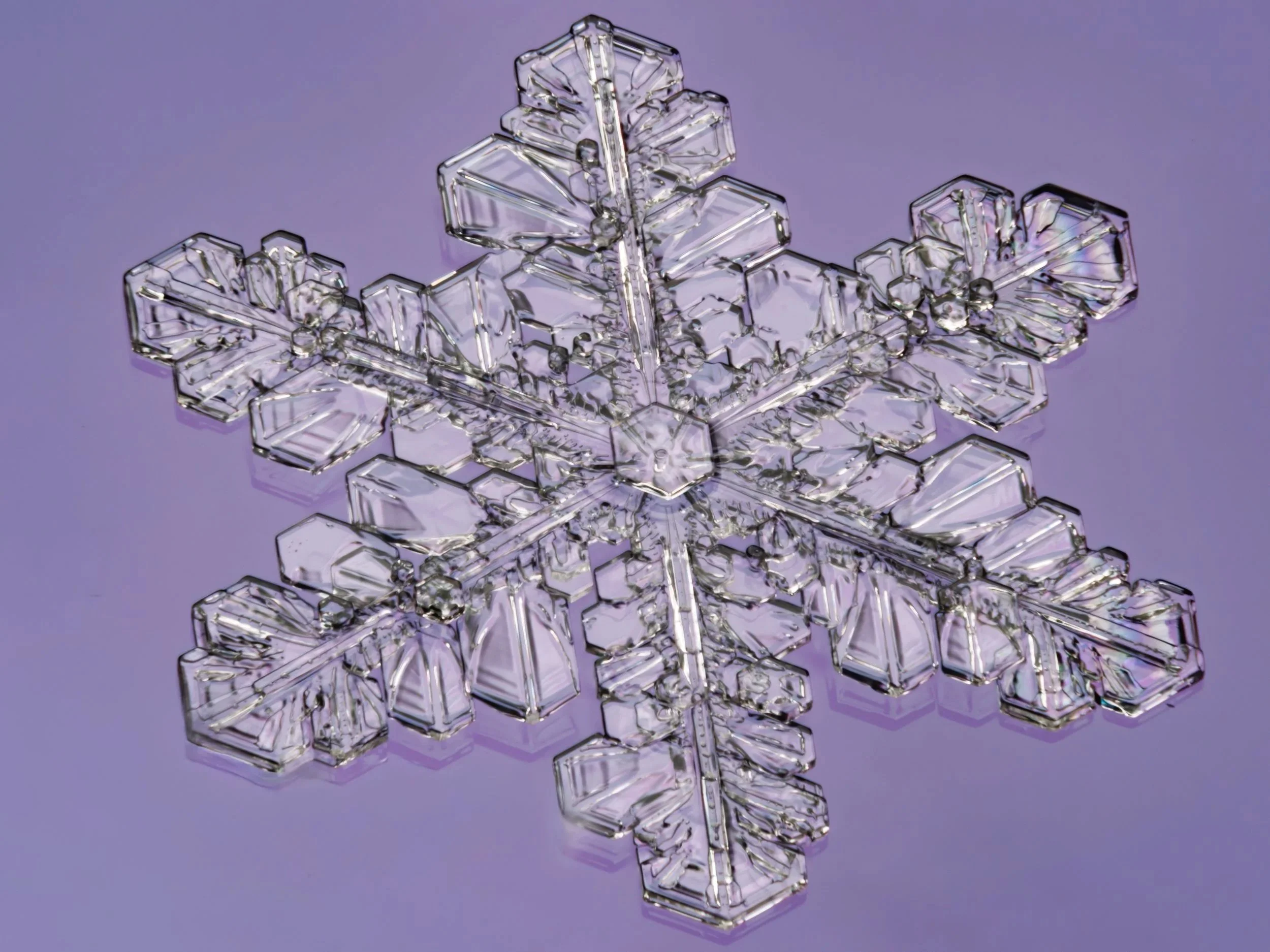 Macro photograph of a detailed, symmetrical stellar dendrite snowflake with a purple background captured in Oulu, Finland.
