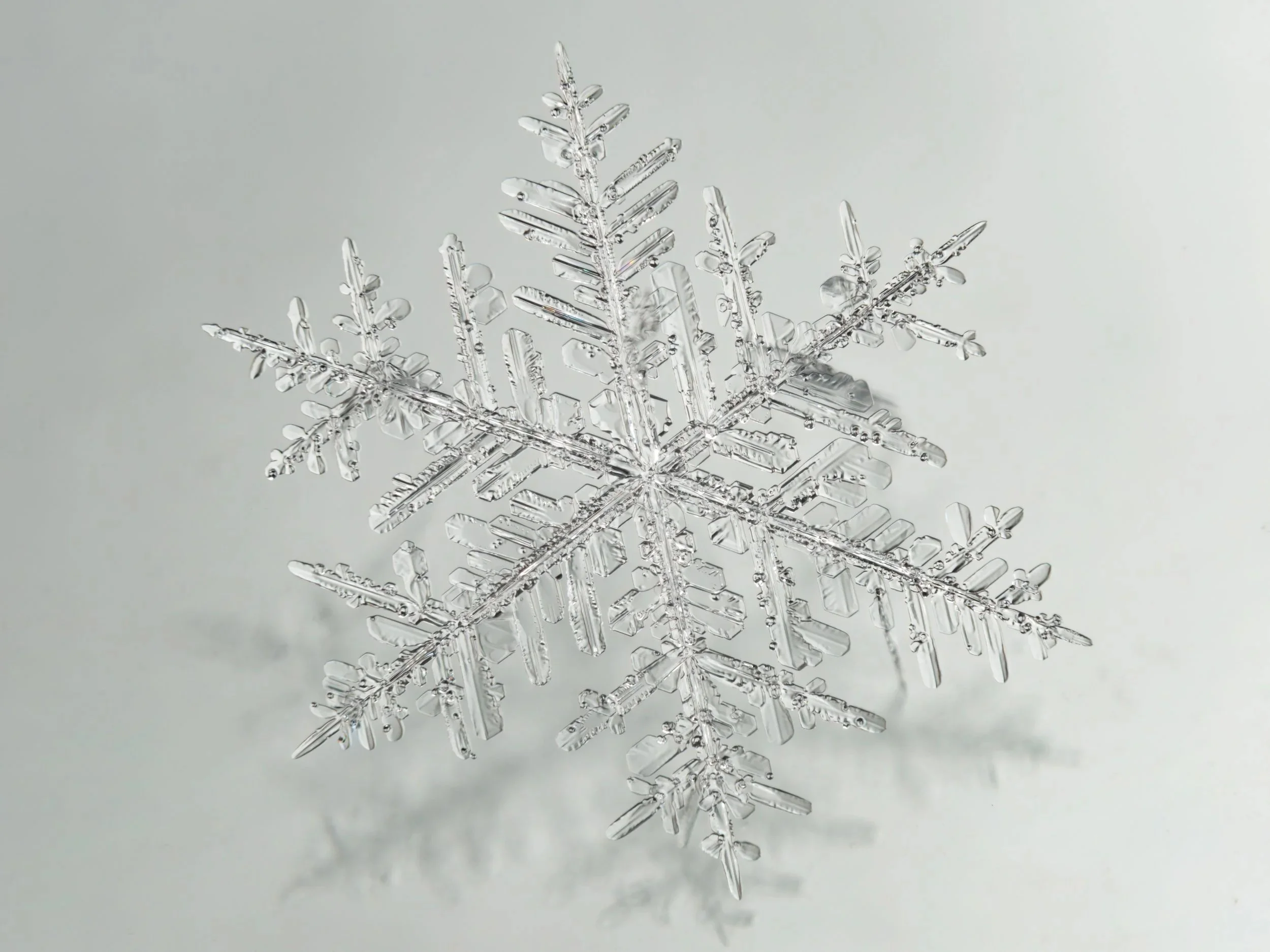 Macro photograph of a large, detailed fernlike stellar dendrite snowflake on glass.