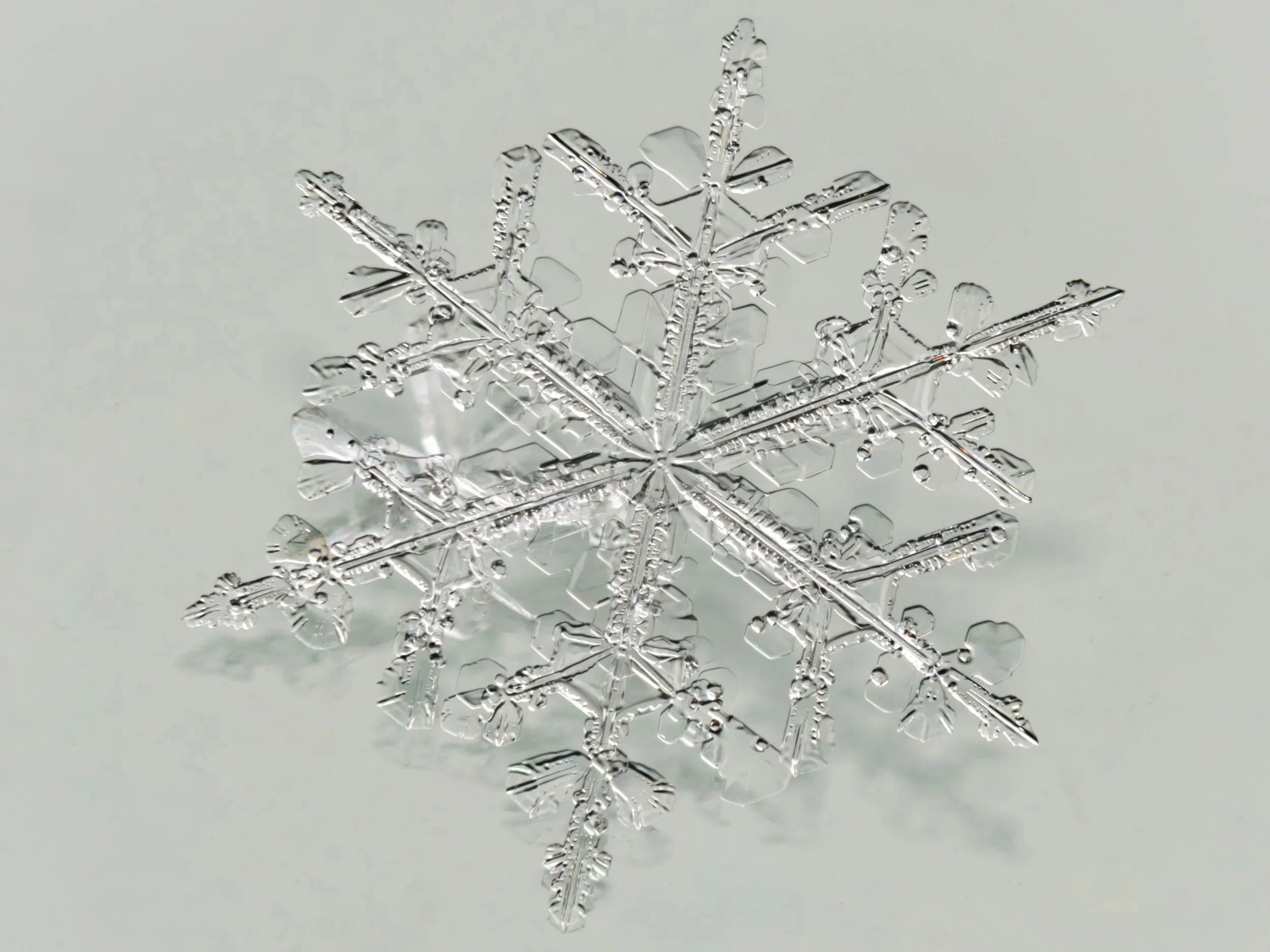 Macro photograph of a clear stellar dendrite snowflake on glass surface.