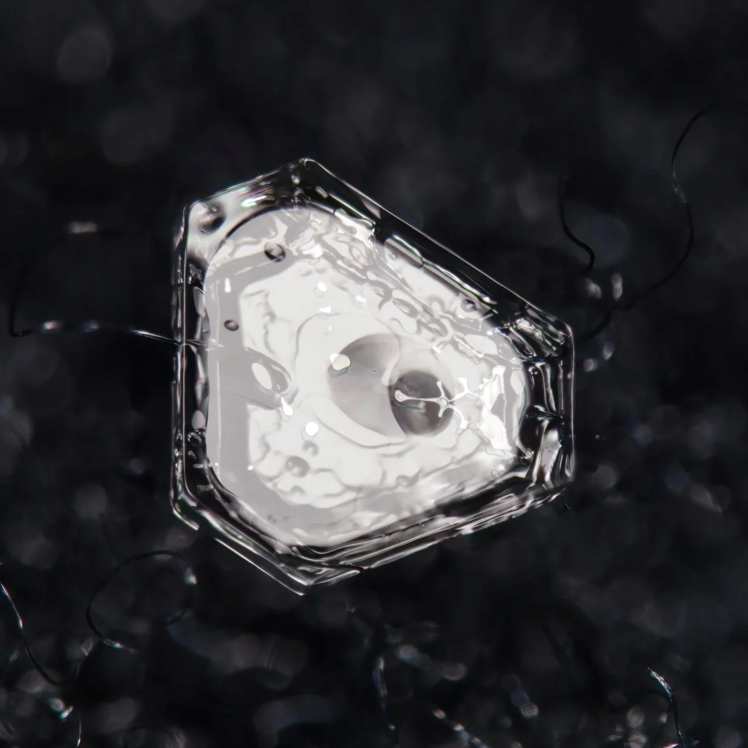 Macro photograph of a hollow hexagonal plate snow crystal with intricate patterns.