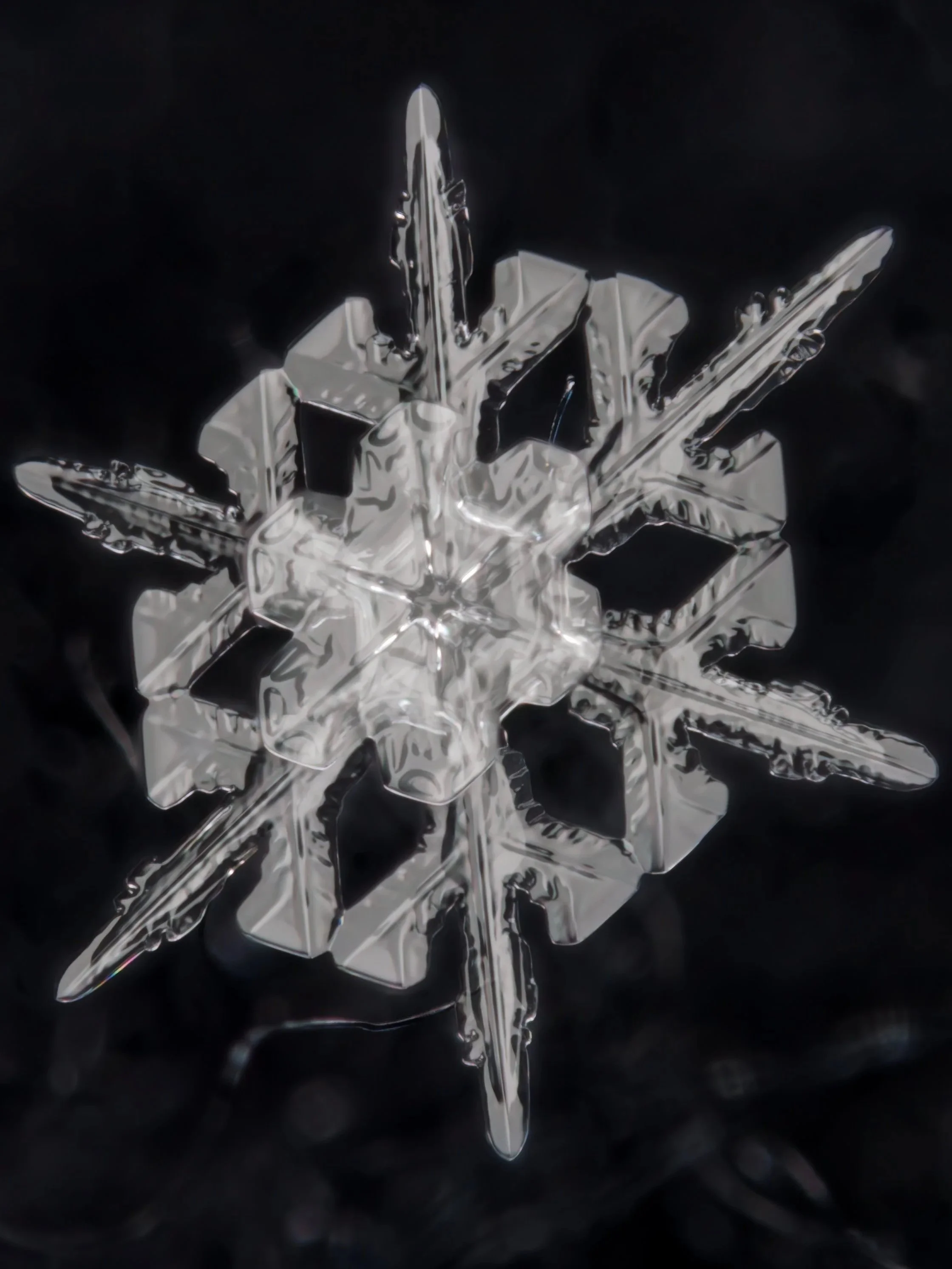 A macro photograph of a stellar dendrite snowflake with long branches and a special center part. 
