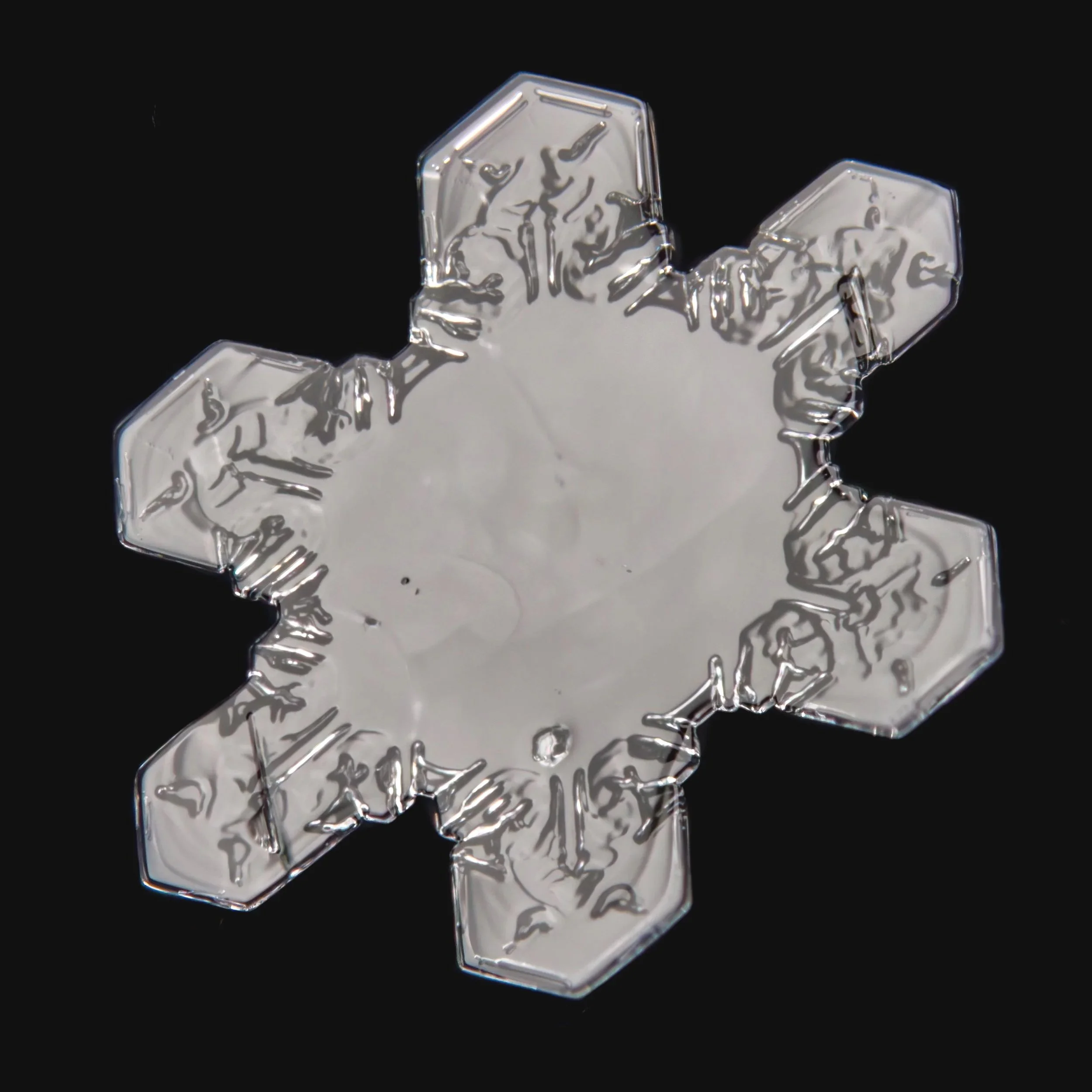 Macro photograph of a sectored plate snow crystal with wide branches.