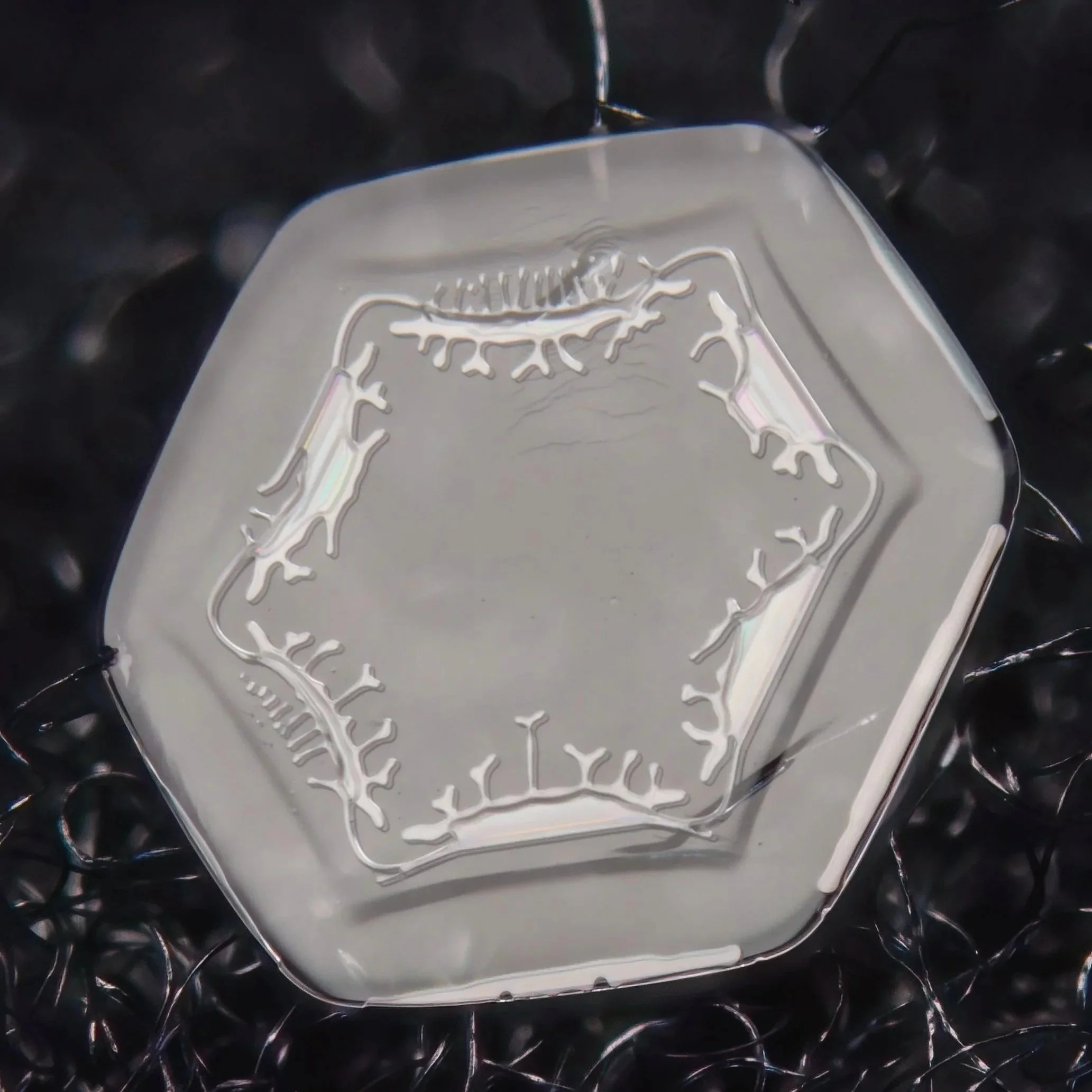 Macro photograph of a small plate snowflake with colorful patterns in the center part forming a star.