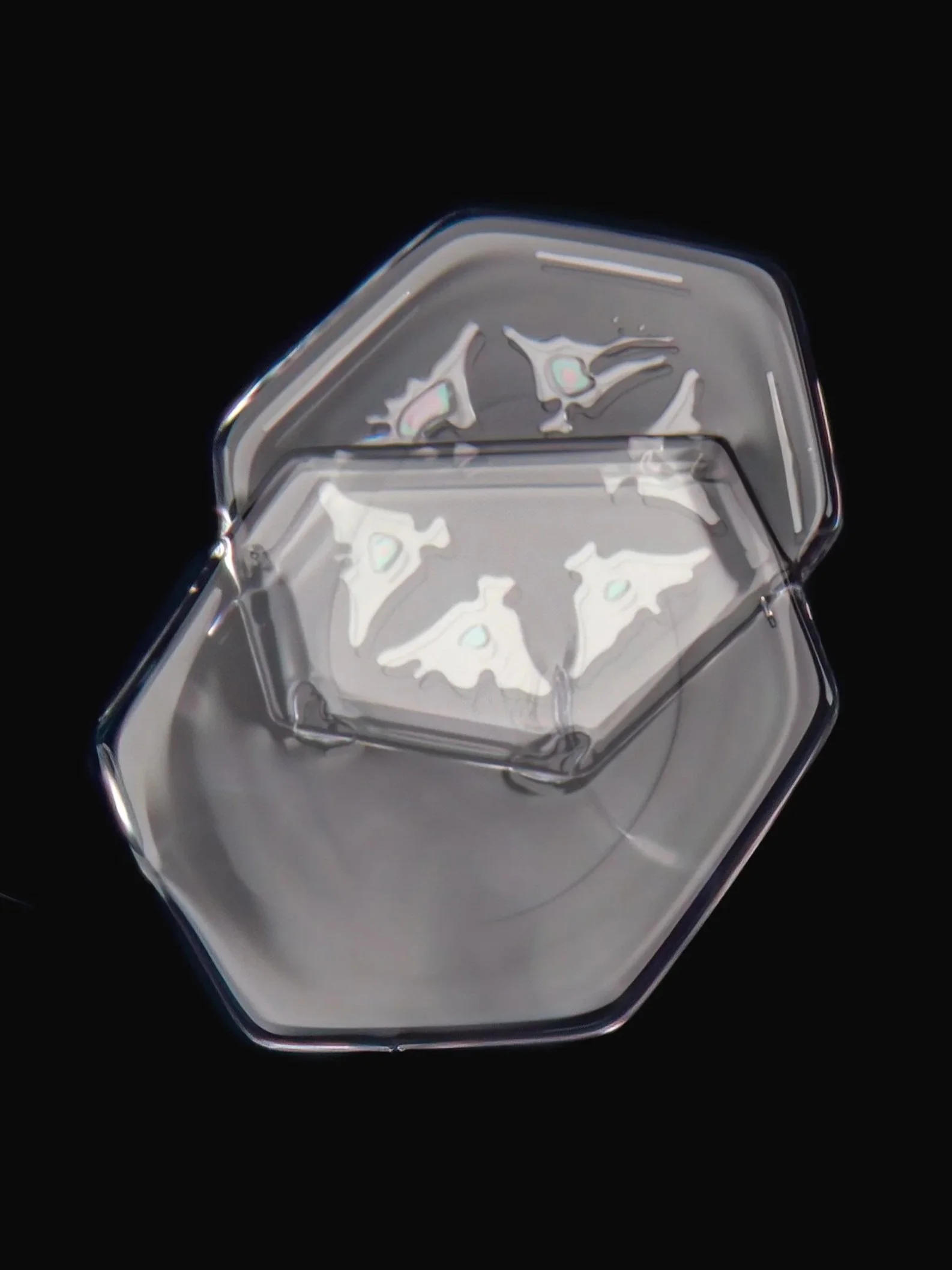 A macro photograph of two glassy plate-shaped snow crystals attached to each other with some irridence showing.