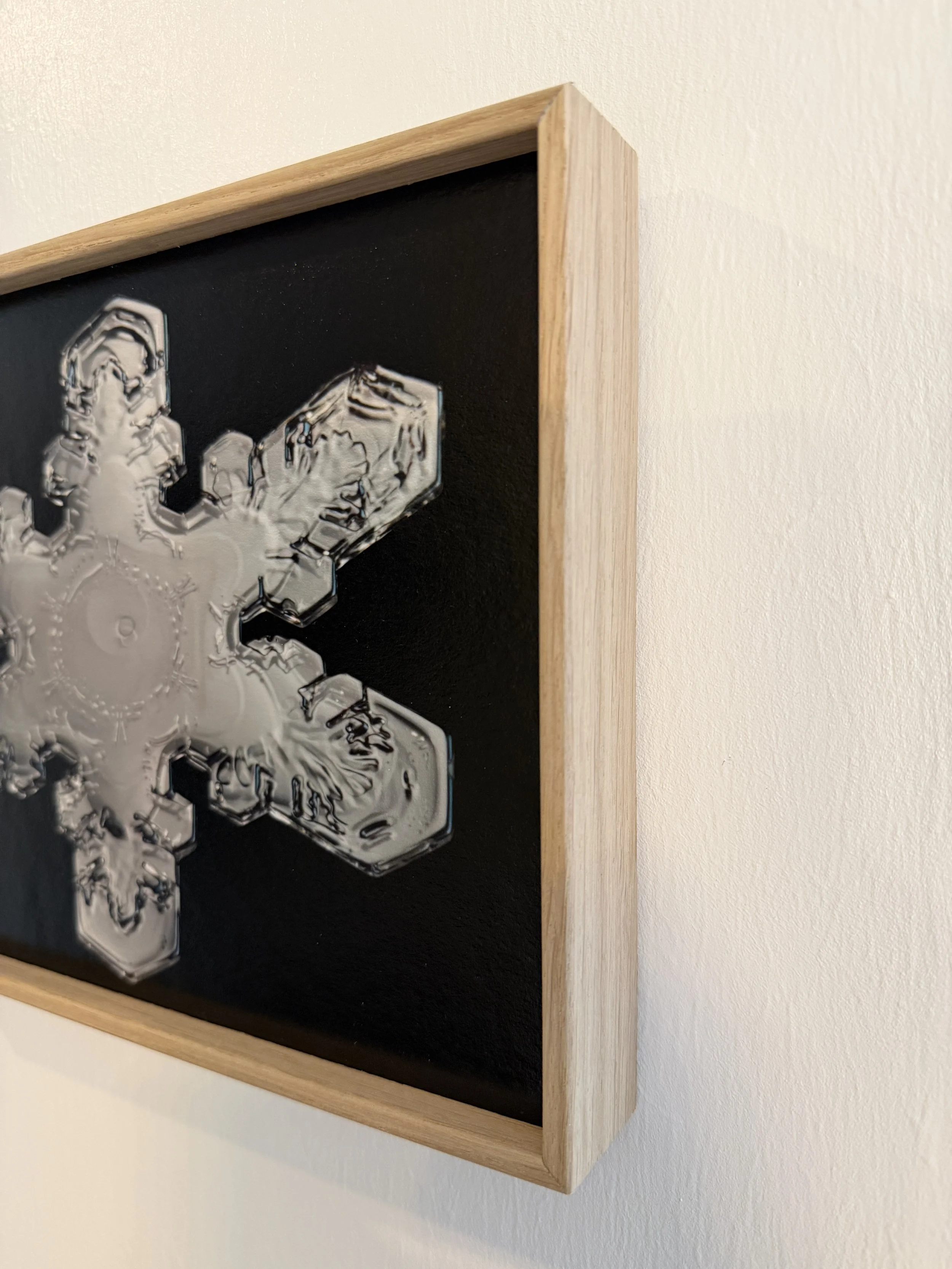 A radiant silver dendrite snowflake, its branching arms glowing like carved winter light.