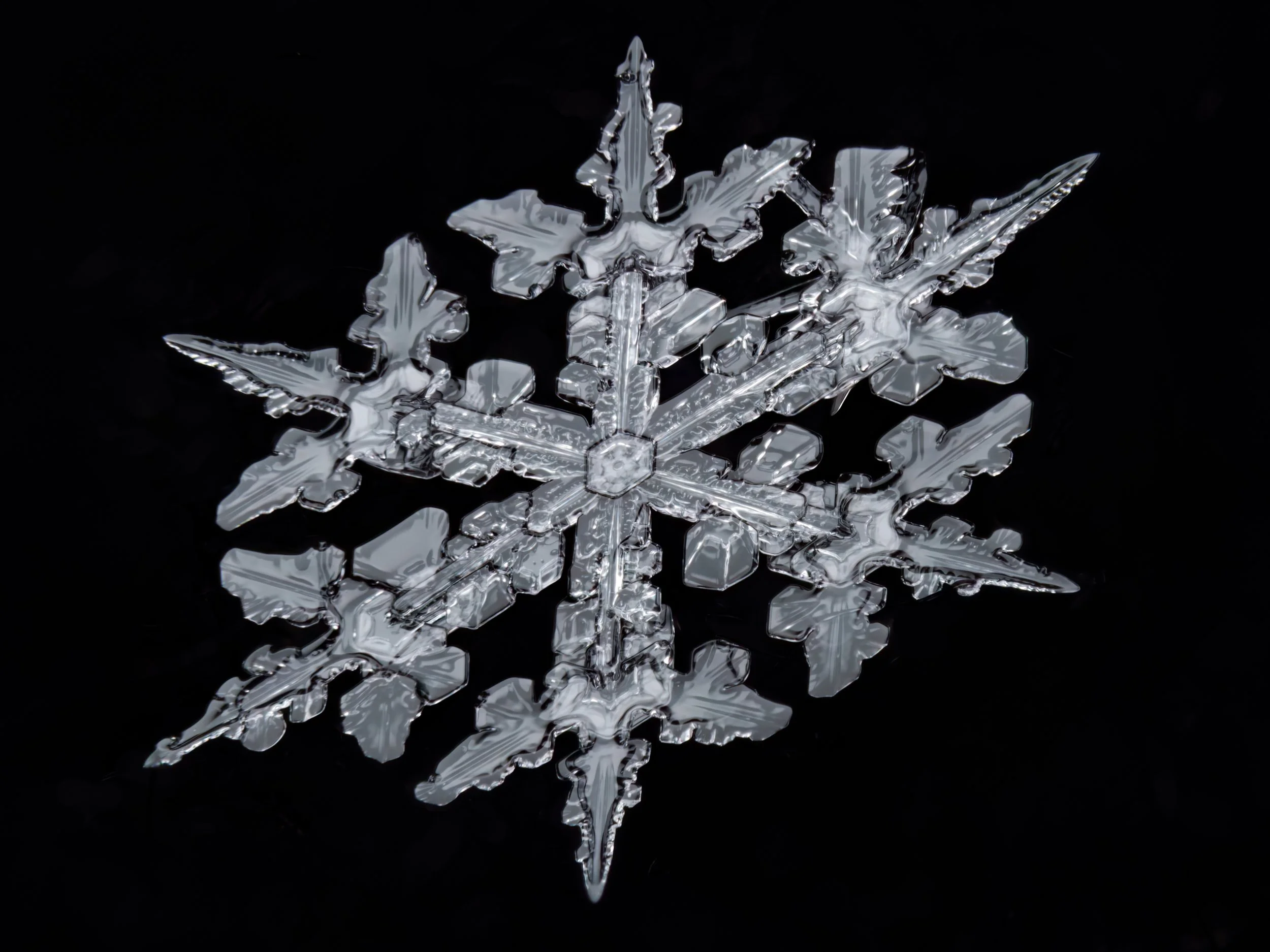 Macro photograph of a detailed stellar dendrite snowflake with long, thin extensions.